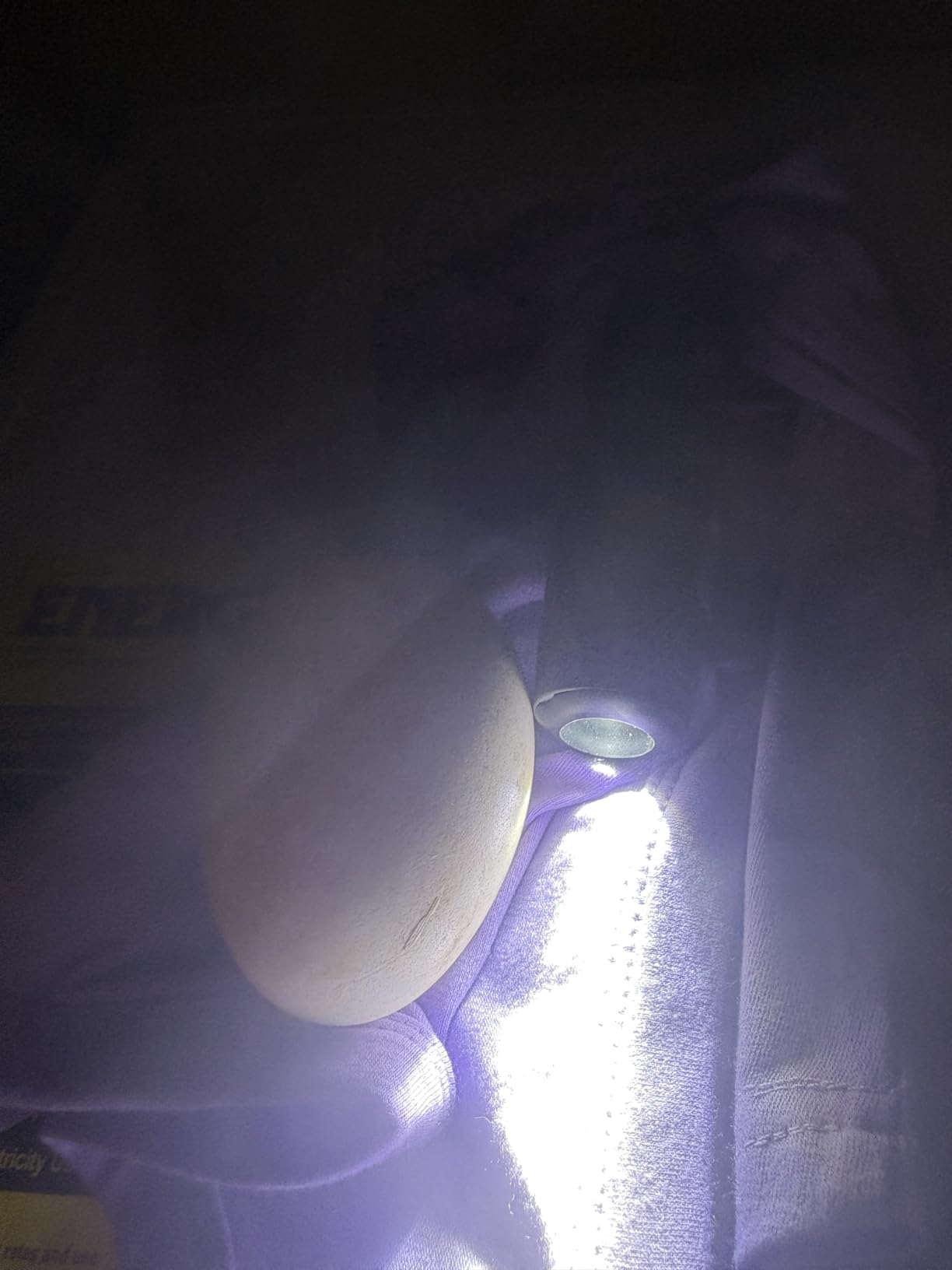 Incu-Bright Ultra Bright LED Egg Candler - Portable Light for All Egg Size customer photo 2