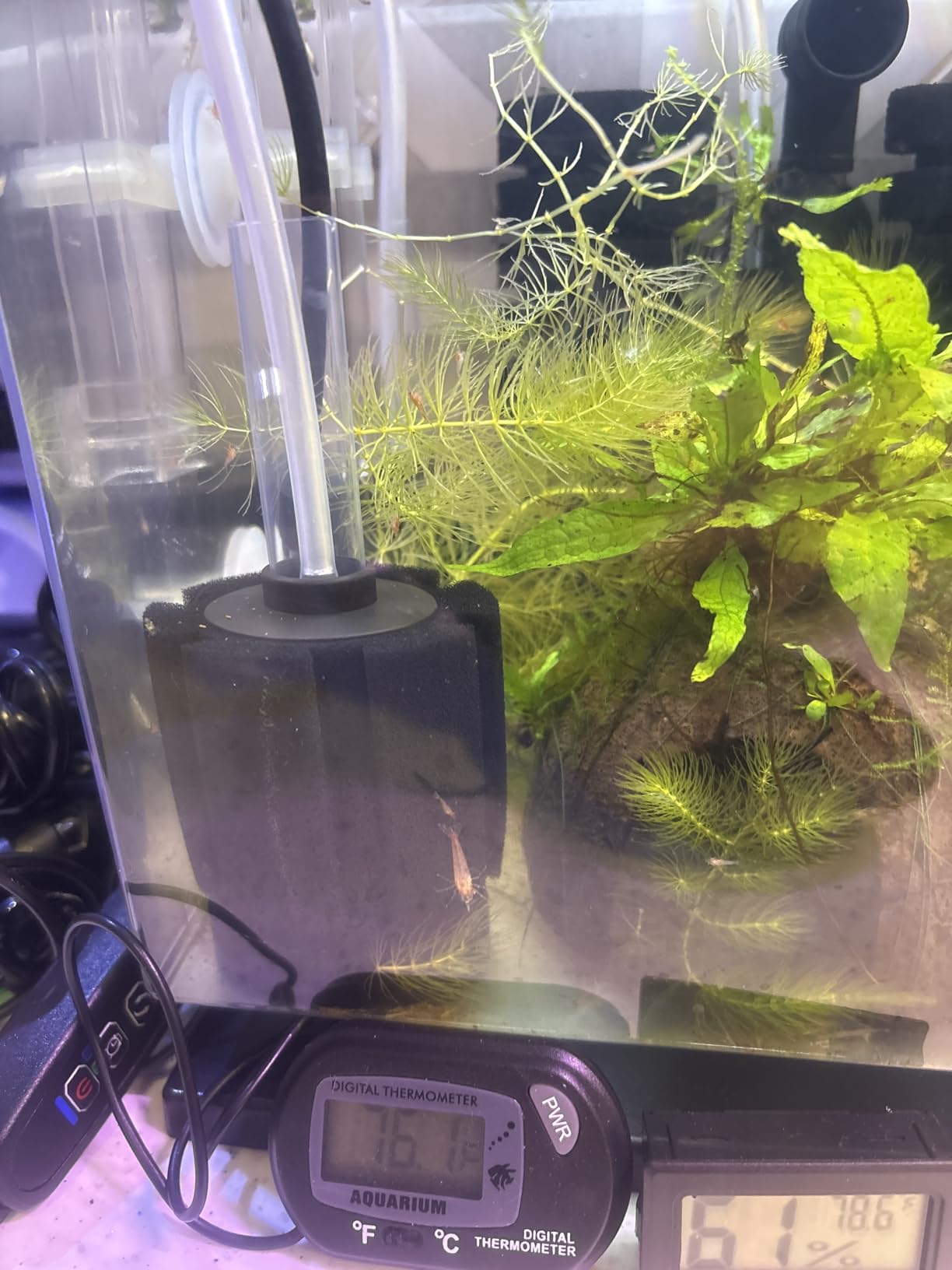 AQUANEAT 3 Pack Aquarium Bio Sponge Filter Breeding Fry Betta Shrimp Nano Fish Tank (Small up to 10Gal) customer photo 2