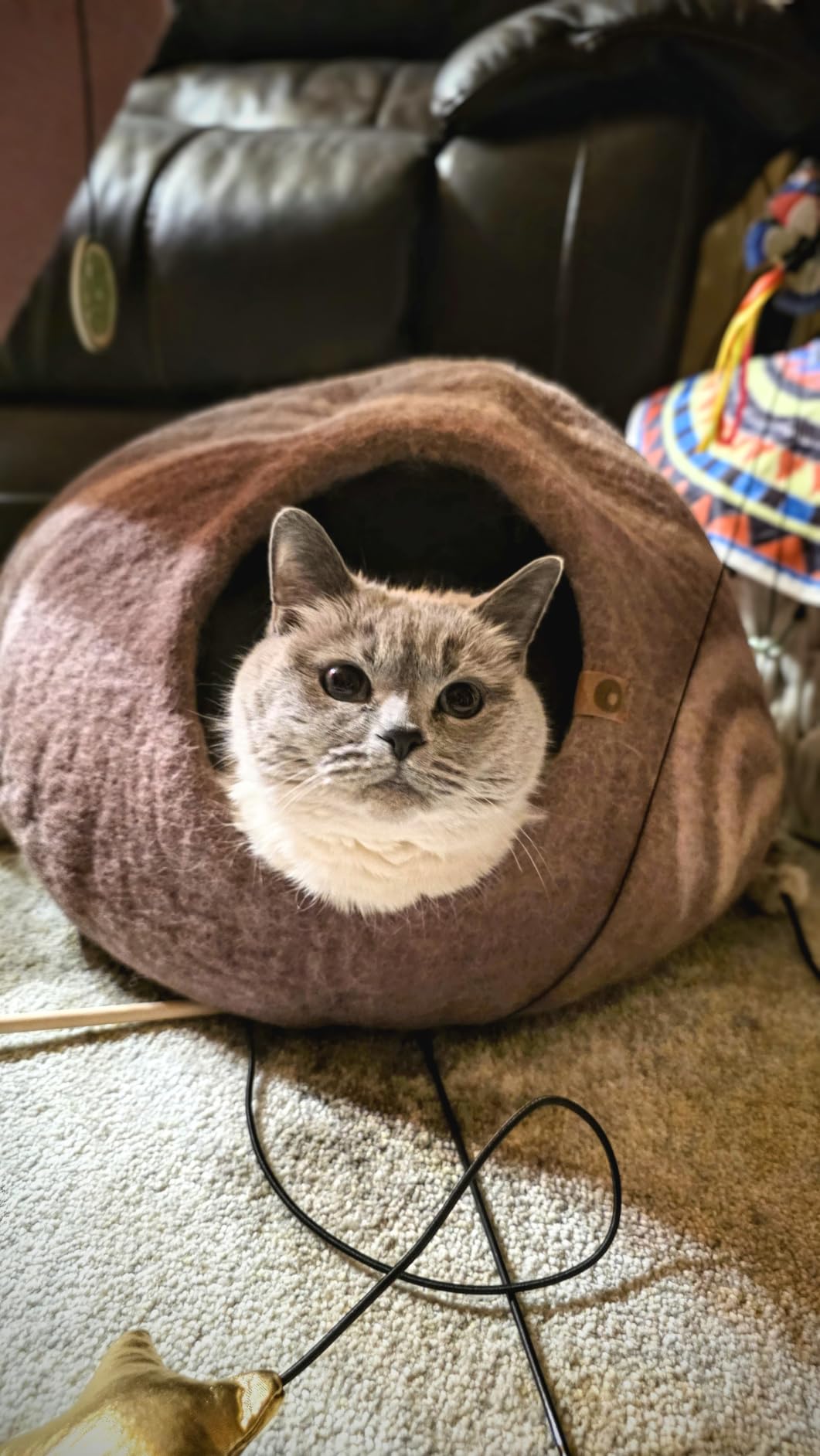 MEOWFIA Cat Cave - Merino Wool Bed for Indoor Cats (Light Gray, Medium) customer photo 1