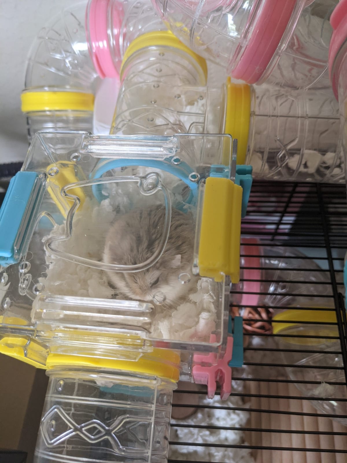94 Pcs DIY Hamster Tunnel Tube Set, Clear Small Animal Cage Tube Kit customer photo 2
