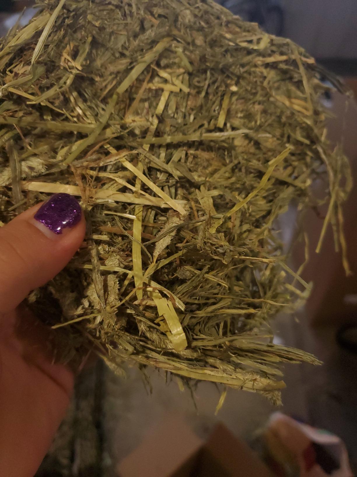 Grandpa's Best Timothy Hay Bale, 40 oz customer photo 1
