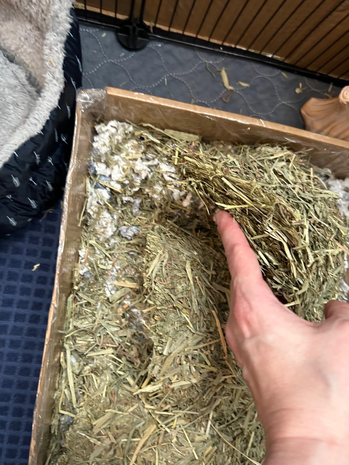 Grandpa's Best Timothy Hay Bale, 40 oz customer photo 2