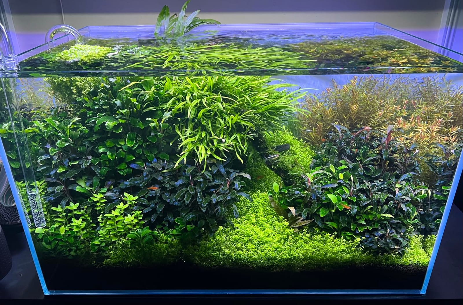 Fluval Plant 3.0 LED Planted Aquarium Lighting, 46 Watts customer photo 1