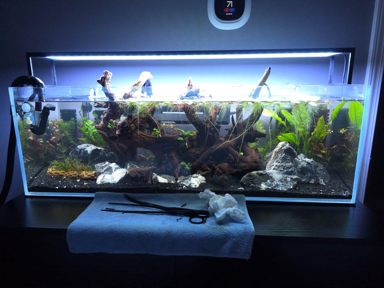 UNS Ultra Clear Rimless Tank - 6.3GAL | 24L - 23.62x7.87x7.87 | 60x20x20 CM, 5mm Glass Thickness, Leveling Mat Included - Low Iron, High Clarity Fish Tank w/ 45° Mitered Edge - [60L] customer photo 2