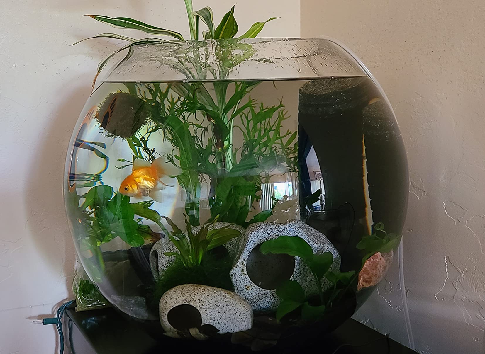 Ultum Nature Systems Controsoil - Freshwater Aqua Soil Substrate, 10 Liter customer photo 1