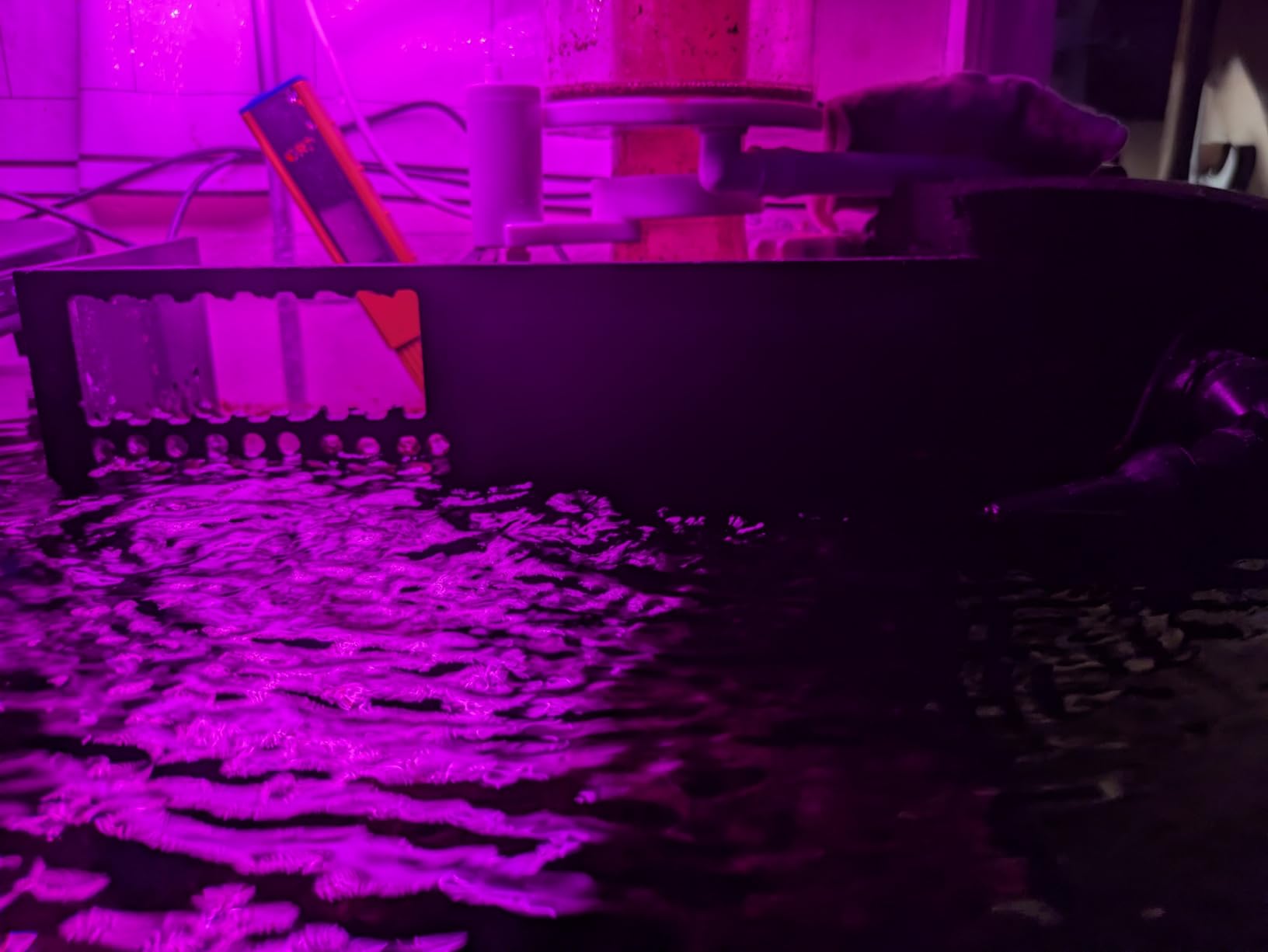 Fiji Cube AIO Box All-in-One Kit 4th Gen (40 Breeder) customer photo 1