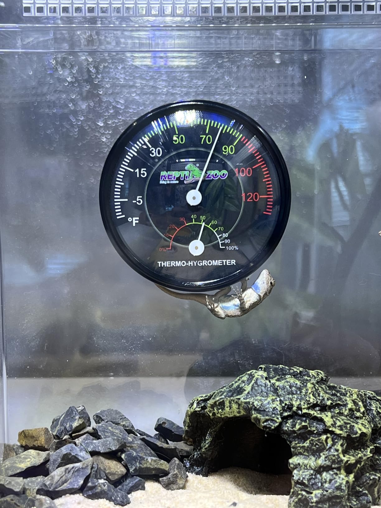 REPTI ZOO Reptile Terrarium Thermometer Hygrometer Dual Gauges Pet Rearing Box Reptile Thermometer and Humidity Gauge customer photo 2
