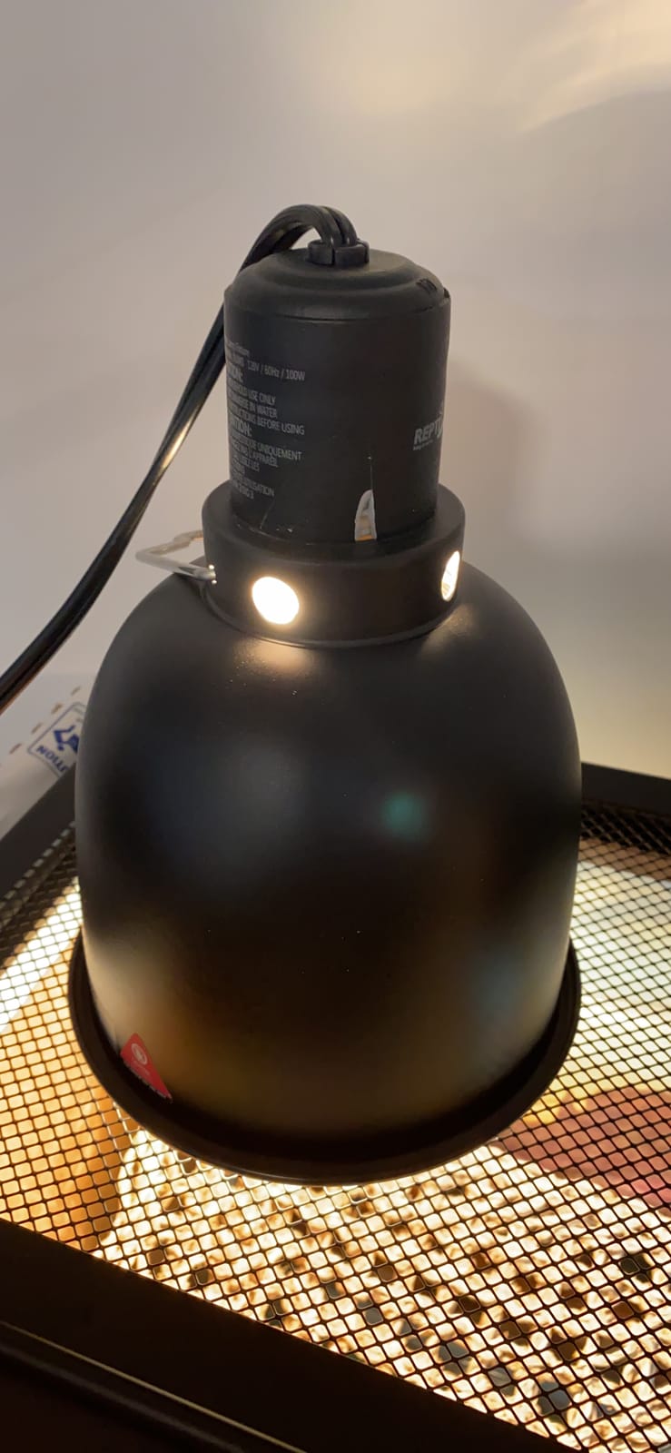 REPTI ZOO 5.5 Inch Deep Dome Lamp Cap Lamp Fixture, Optical Reflection Cover for Reptile Glass Terrariums customer photo 1