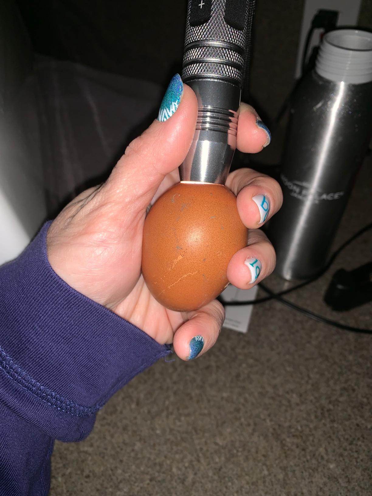 Powerful Professional LED Light Egg Candler Incubator Stainless Steel Tester for All Egg Type, Ultra Bright, Powered Portable, with Full Illustrated Egg Candling Guide customer photo 2