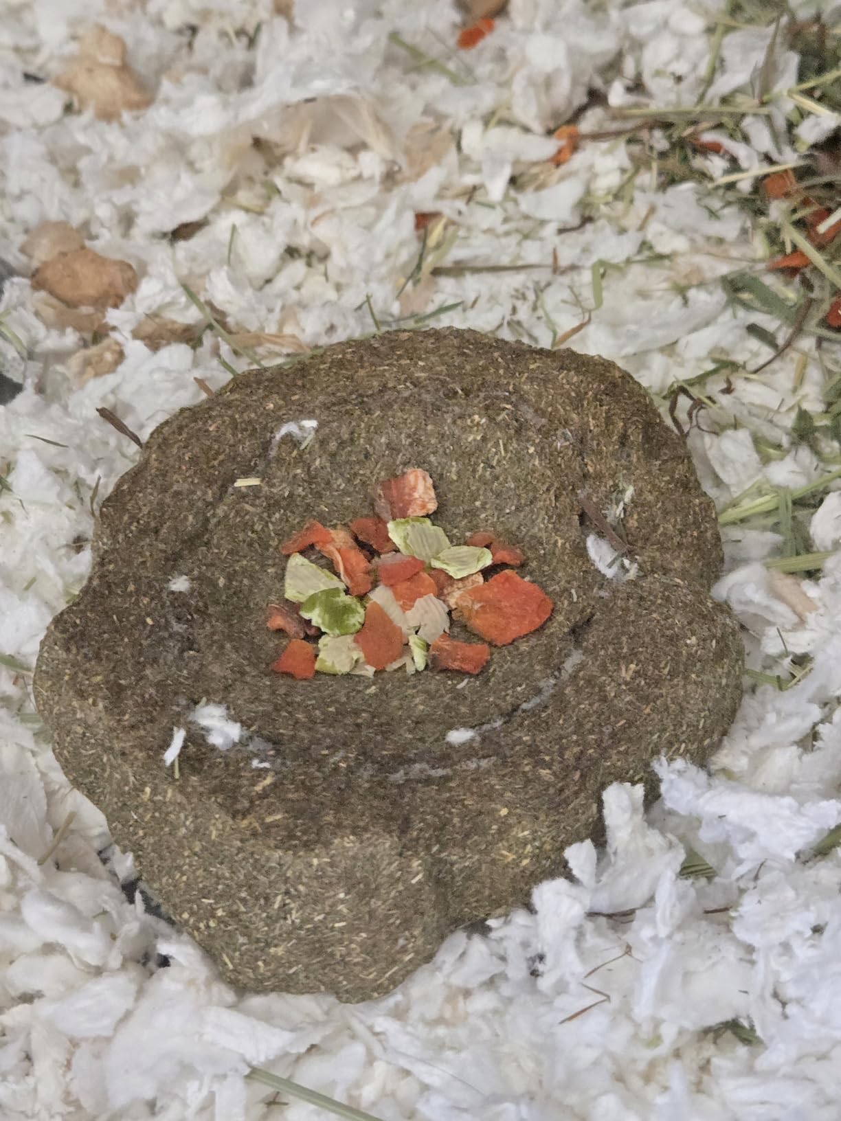 Kaytee Premium Timothy Hay Chew-A-Bowl for Rabbits, Guinea Pigs | Helps satisfy chewing. Edible bowl for rabbit treats. Timothy hay, grains and vegetables, guinea pig treats customer photo 2