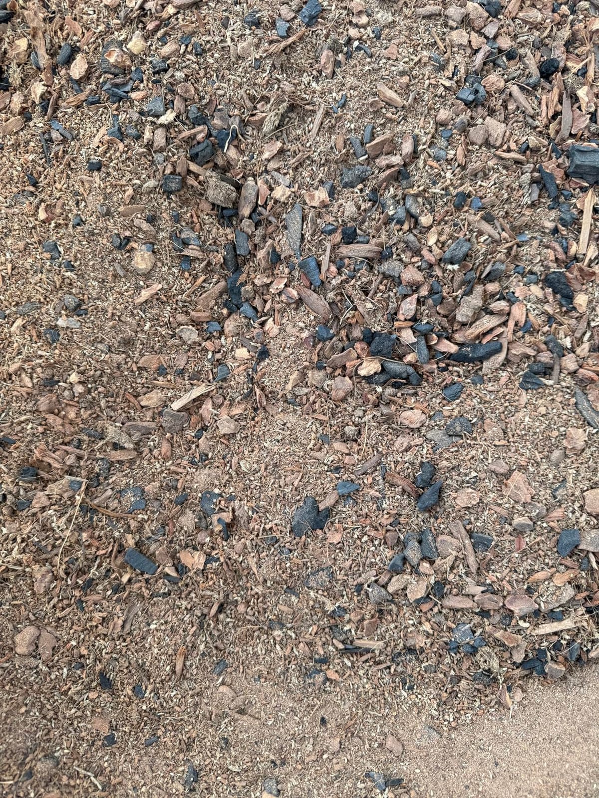 Josh's Frogs BioBedding Tropical Bioactive Substrate (10 quarts) customer photo 2