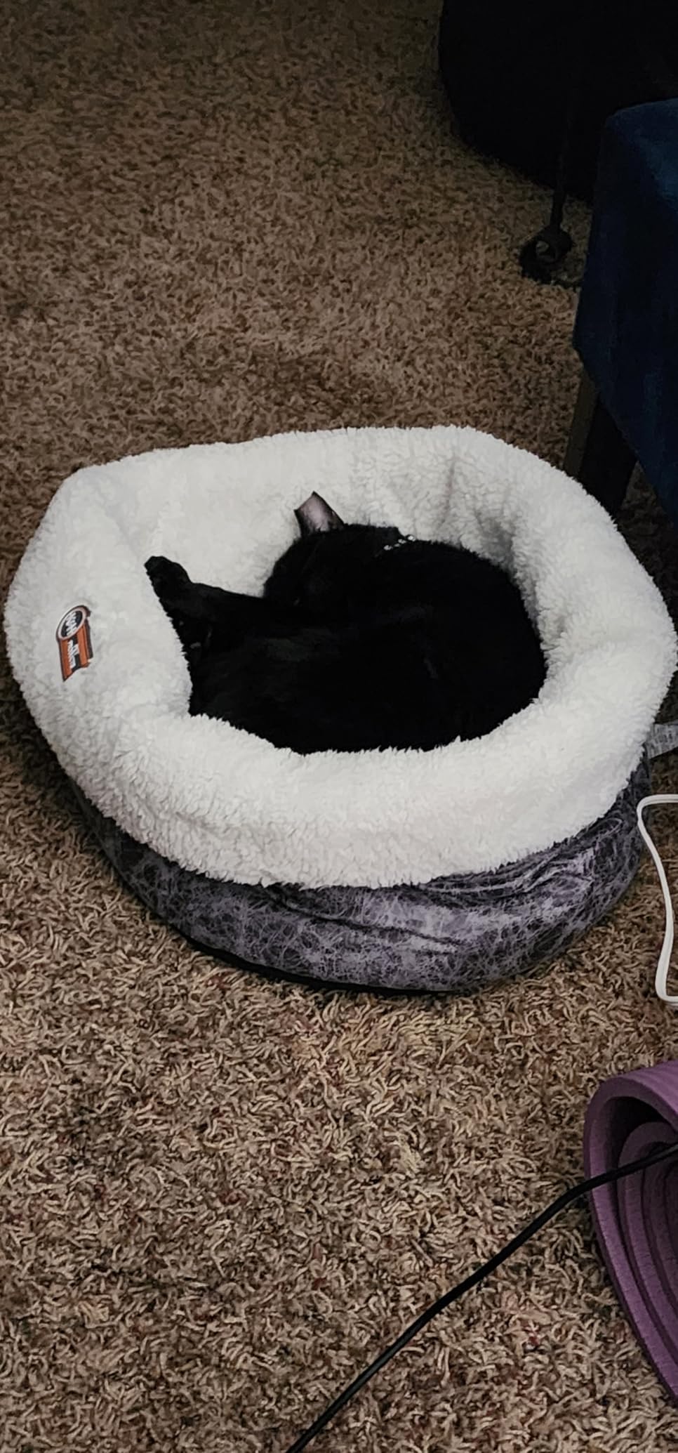 K&H Heated Cat Bed, Thermo-Snuggle Cup Bomber Indoor, Safety Listed, 18x14 customer photo 2