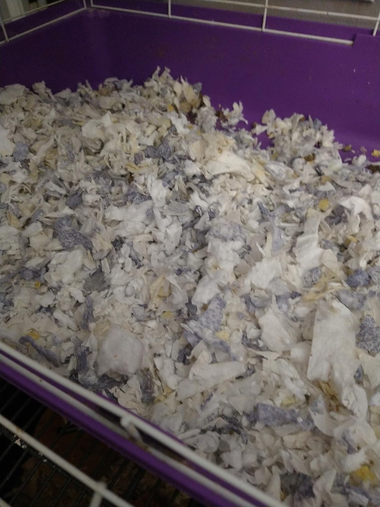 Kaytee Clean & Cozy Extreme Odor Control Hamster Bedding, 40 Liters customer photo 2