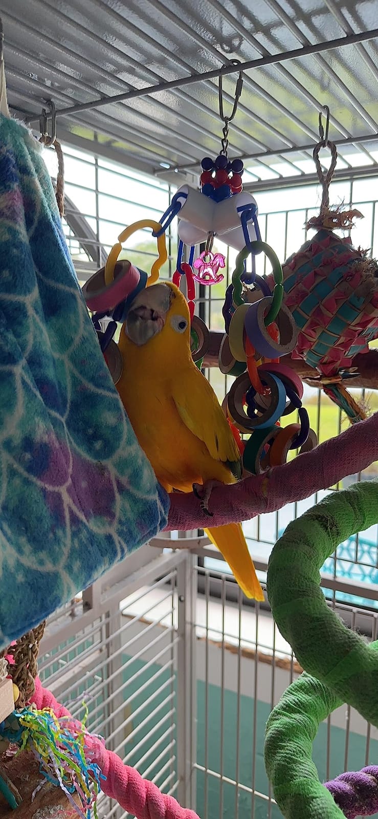 Super Bird Creations SB1107 Bagel Cascade Bird Toy, Large Bird Size, Refillable Bagels, 15
