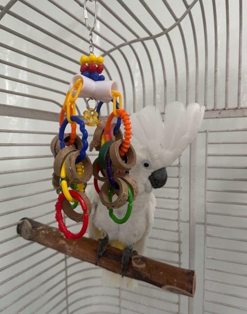 Super Bird Creations SB1107 Bagel Cascade Bird Toy, Large Bird Size, Refillable Bagels, 15