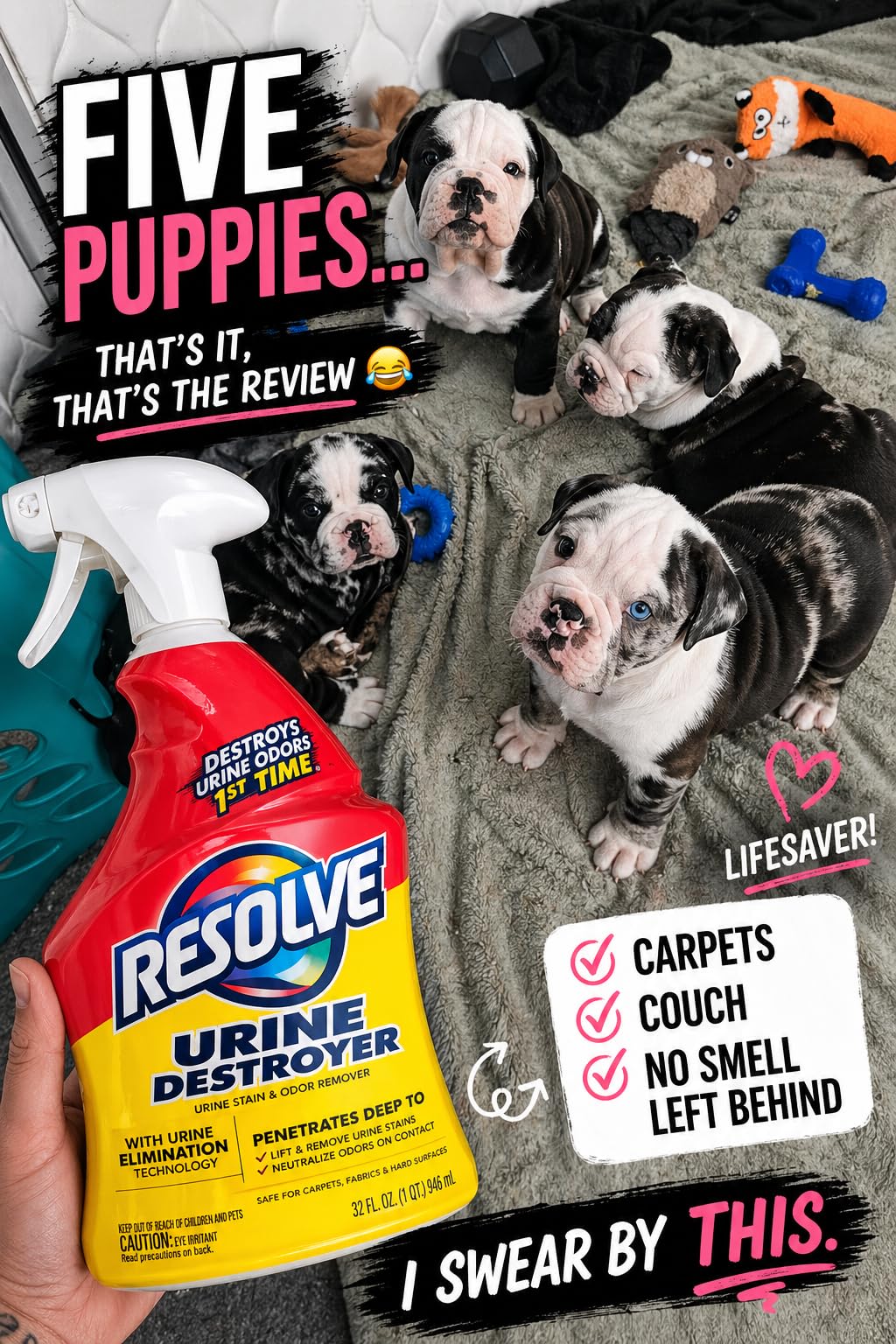 Resolve Urine Destroyer Spray – Pet Stain and Odor Remover, Carpet Cleaner Solution for Cat and Dog Urine, 32 Fl Oz customer photo 2
