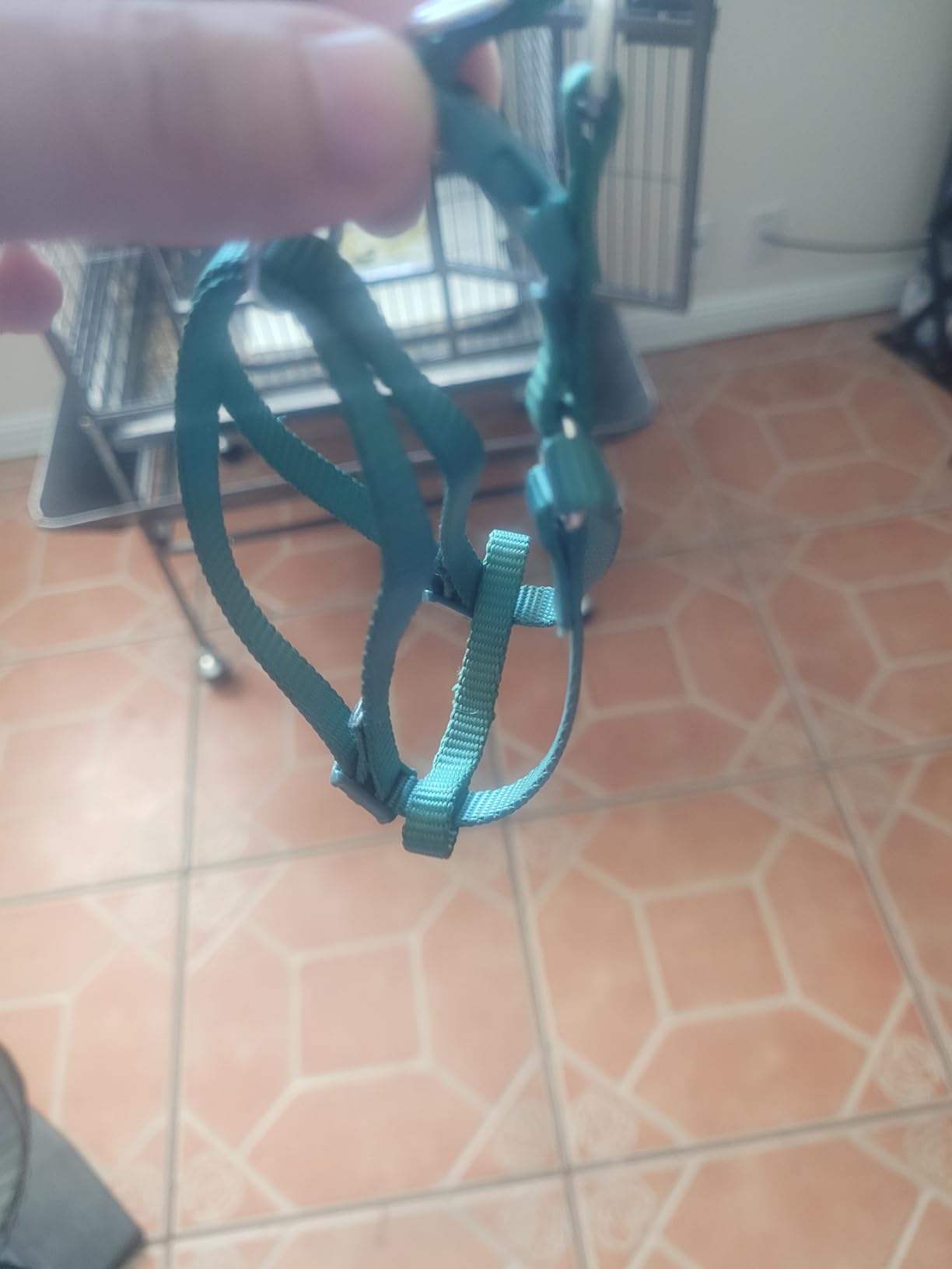 Adjustable Bird Harness and Leash for Yellow Naped Amazons Galah Cockatoos | Small to Medium Breed Parrots, Fits Birds Chest Between 26-40cm / 10.24-15.75inch - S customer photo 2