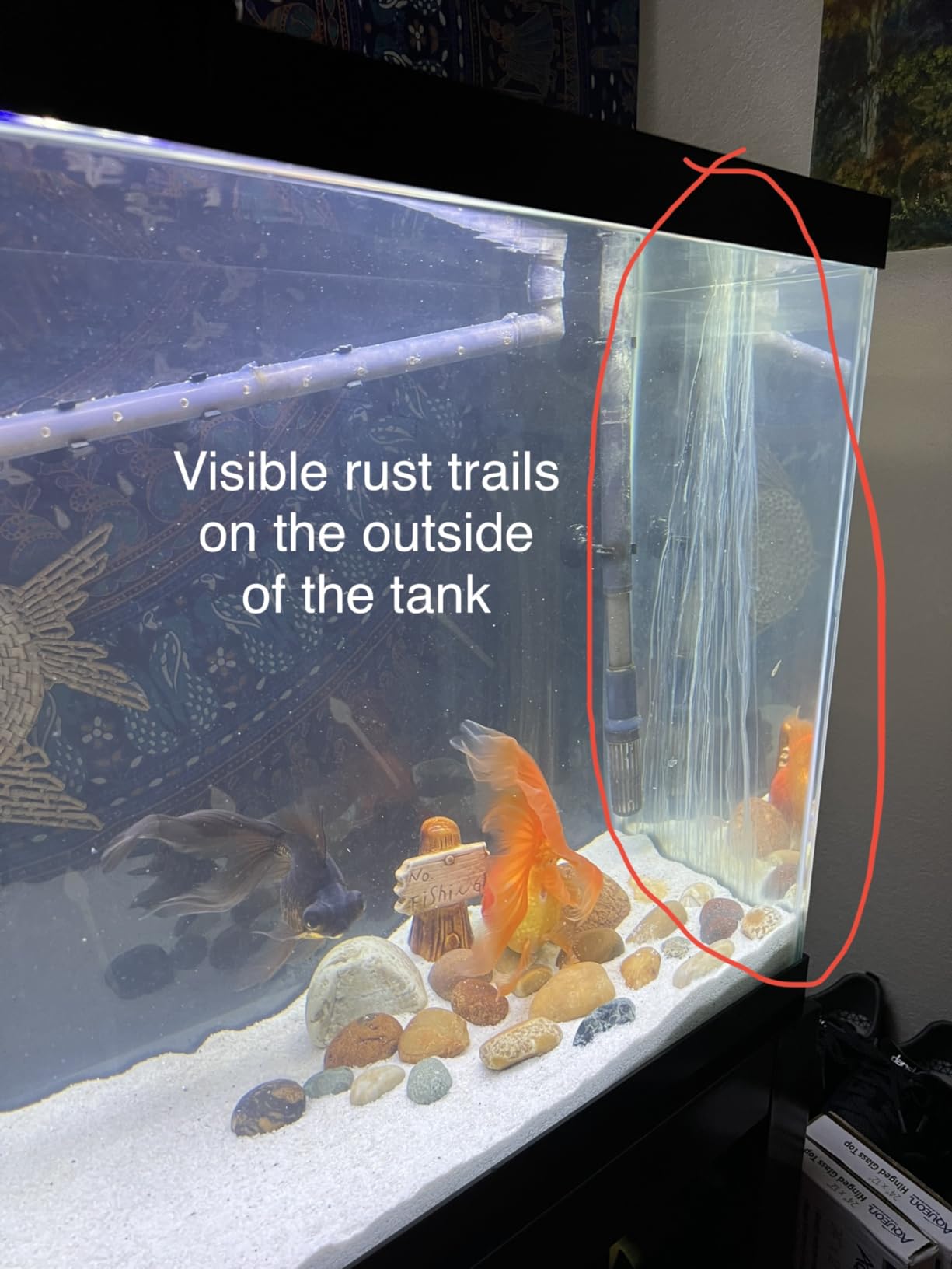 AQUANEAT LED Aquarium Light Full Spectrum 12 Inch Fish Tank Light Fresh Water customer photo 1