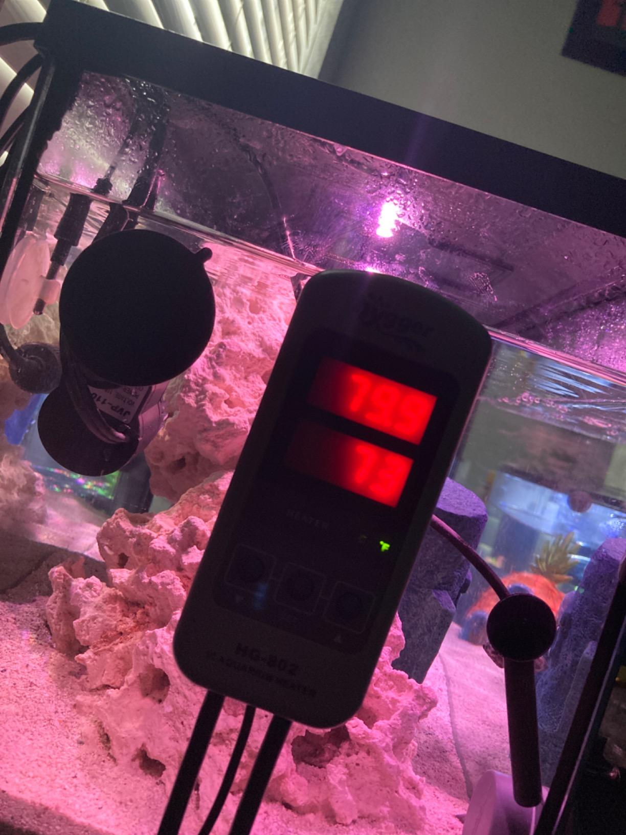 hygger 50W Titanium Aquarium Heater for Salt Water and Fresh Water, Digital Submersible Heater with External IC Thermostat Controller and Thermometer, for Fish Tank 5-10 Gallon customer photo 2