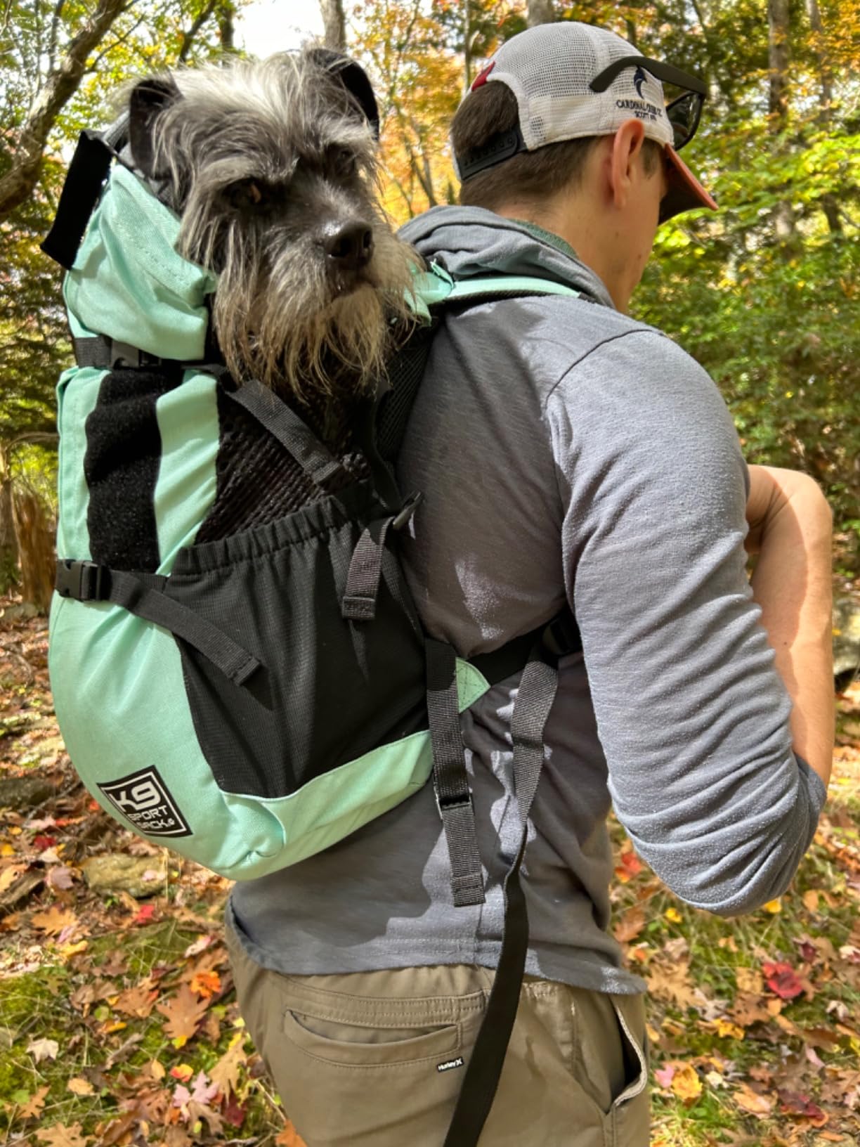 K9 Sport Sack Plus 2 - Large, Summer Mint - Ideal for Dogs 20-22” Long - Adjustable, Backpack-Style Carrier with Multi-Functional Storage Pack, Thick Shoulder Straps & Padded Back Panel customer photo 1