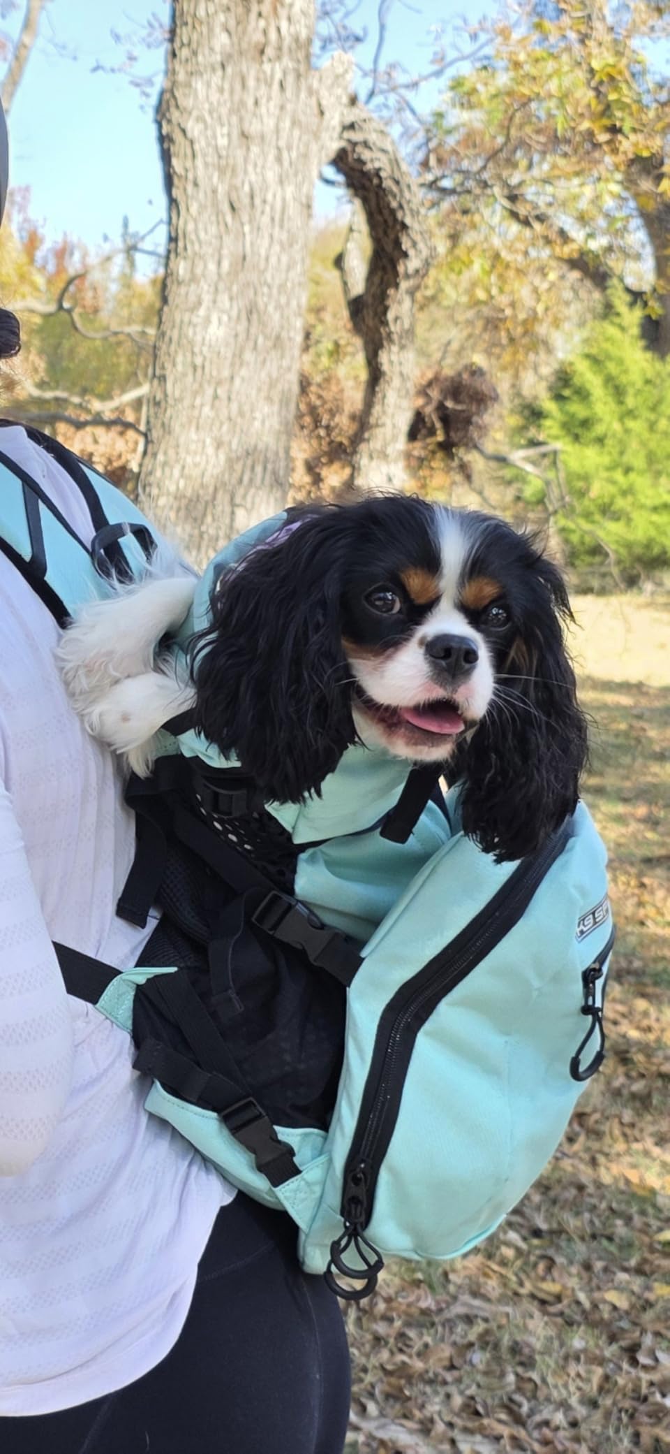 K9 Sport Sack Plus 2 - Large, Summer Mint - Ideal for Dogs 20-22” Long - Adjustable, Backpack-Style Carrier with Multi-Functional Storage Pack, Thick Shoulder Straps & Padded Back Panel customer photo 2