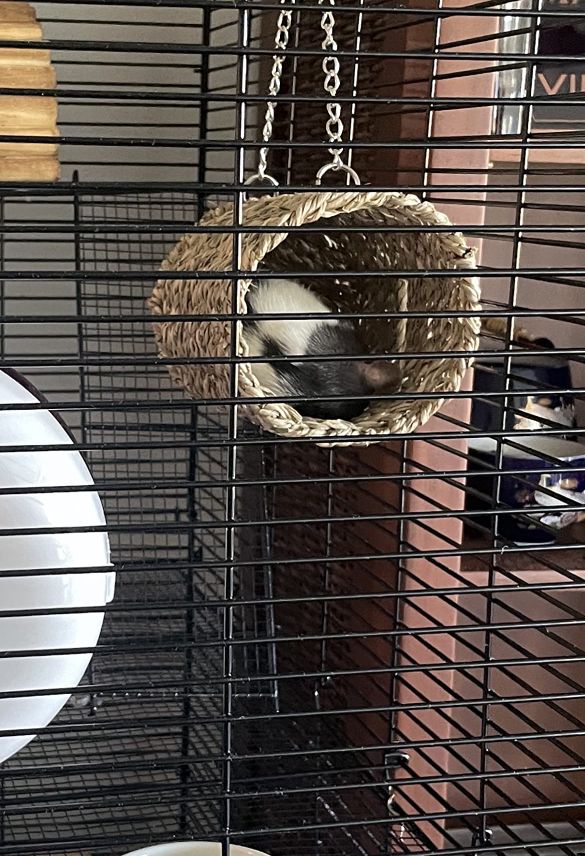 Hamiledyi Hamster Hanging Hammock 3 Piece Wooden Rat Ladder Swing Set Cage Clmbing Toys Accessories for Syrian Hamster Sugar Glider Bird Mice Playing Sleeping customer photo 2