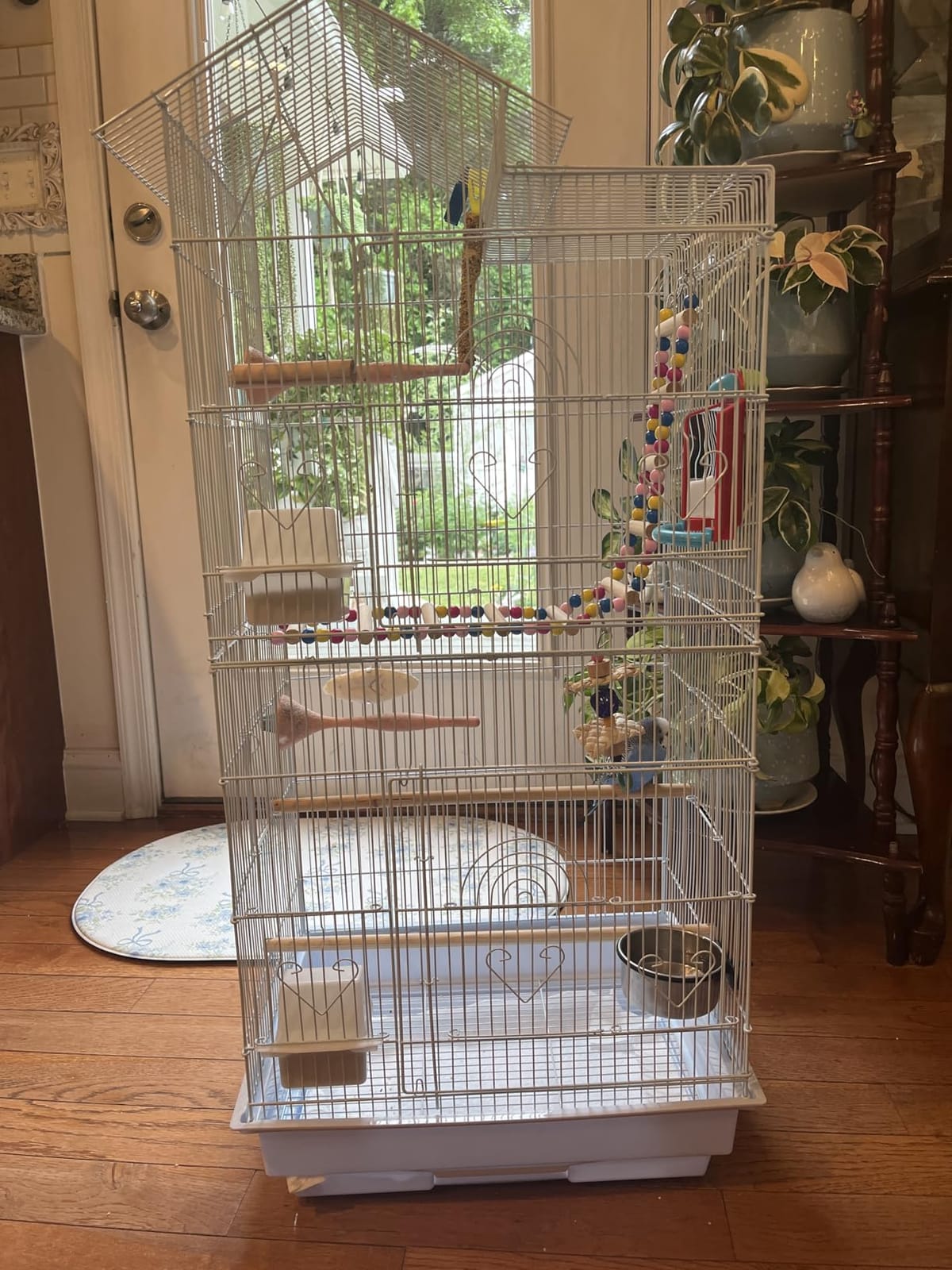 Yaheetech 39-inch Roof Top Large Flight Parrot Bird Cage for Small Quaker Parrot Cockatiel Sun Parakeet Green Cheek Conure Budgie Finch Lovebird Canary Pet Bird Cage w/Toys customer photo 2