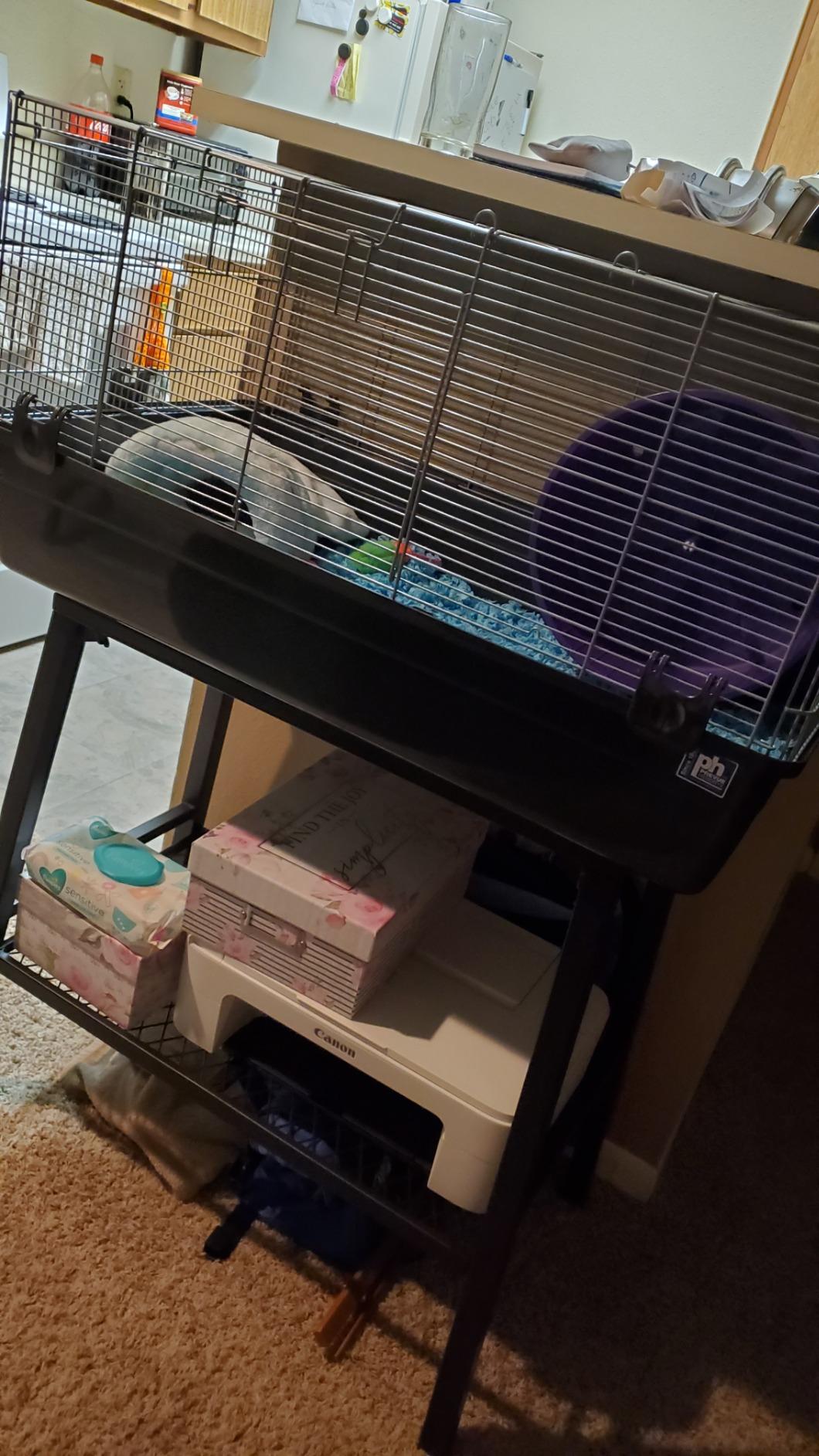 Exotic Nutrition Hedgehog Home & Starter Package - Includes Durable Cage, Exercise Wheel, Healthy Food, Natural Treat, Multi-Vitamin & Hideout customer photo 2