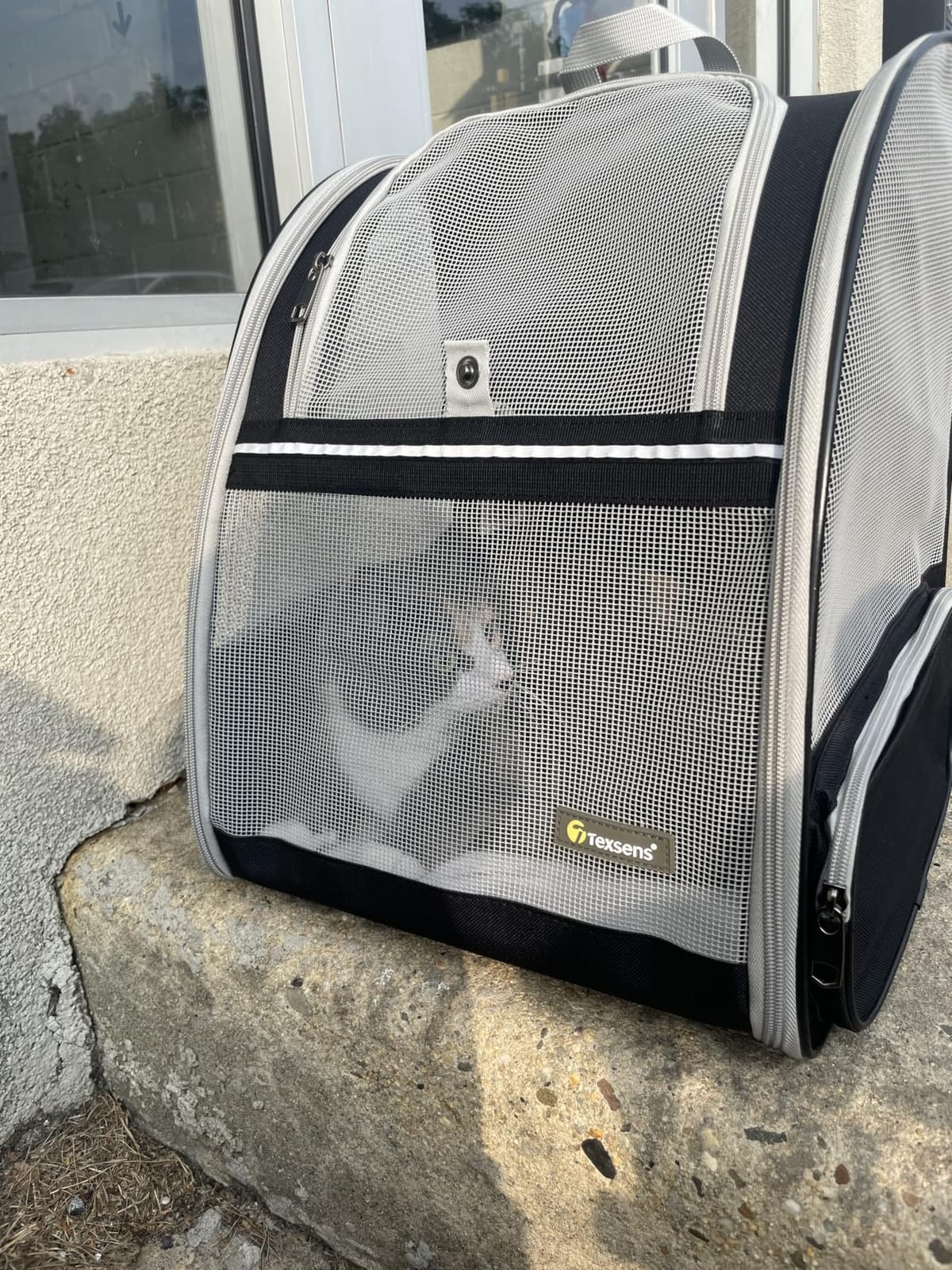 Texsens Innovative Traveler Bubble Backpack Pet Carriers for Cats and Dogs customer photo 1