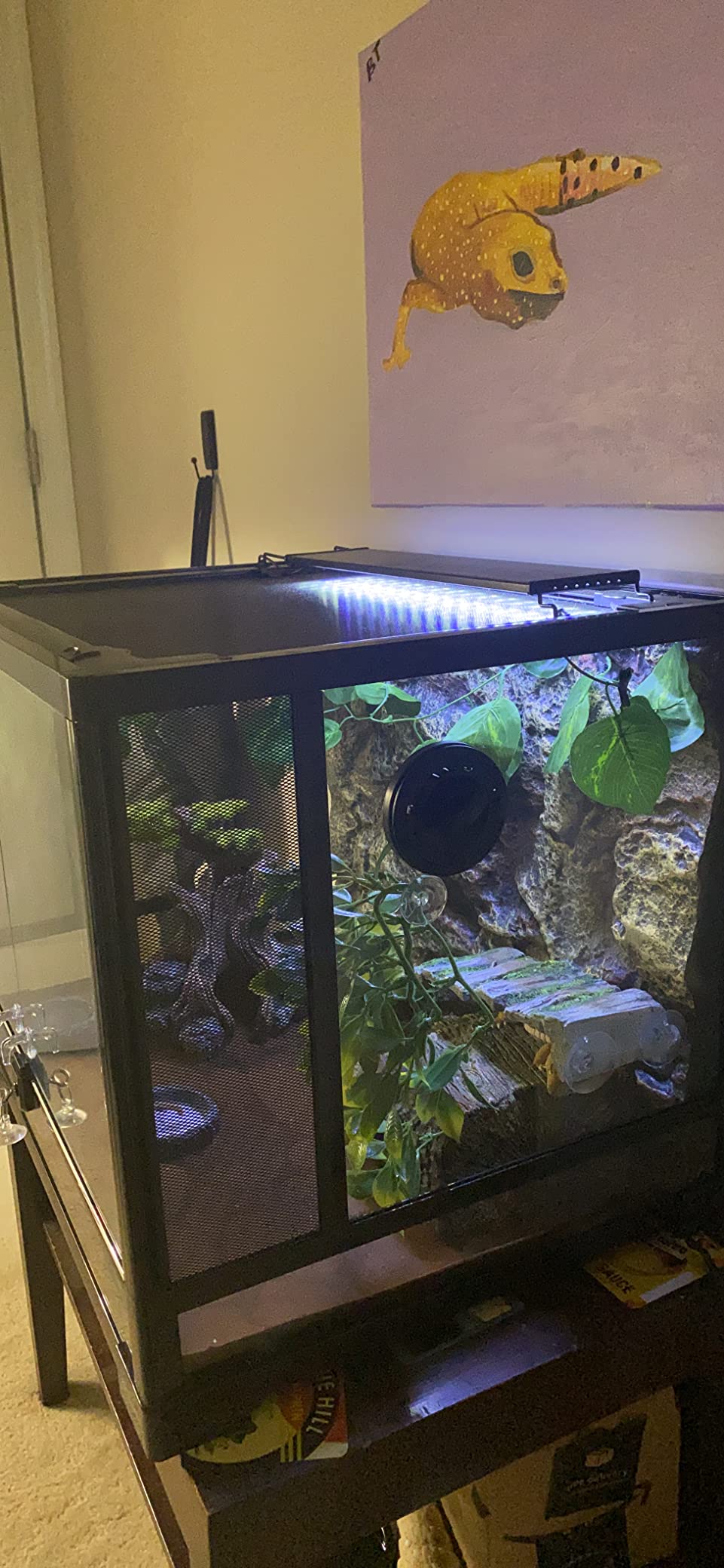 REPTI ZOO 34 Gallon Large Reptile Glass Terrarium Tank with Foam Backgrounds, Double Hinge Door with Screen Ventilation Reptile Terrarium 24