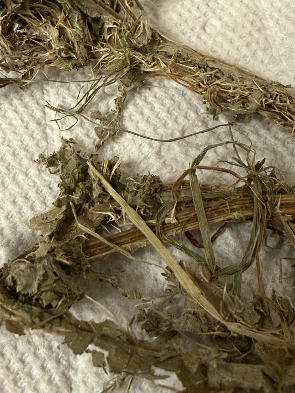 Oxbow Organic Meadow Hay, Rabbit & Guinea Pig Hay, High Fiber, 40 oz | Hand-Sorted, De-Dusted, Oxbow Hay, Organic, Bunny Hay For Rabbits, Guinea Pigs, Bunnies and Chinchillas, Made in USA customer photo 1