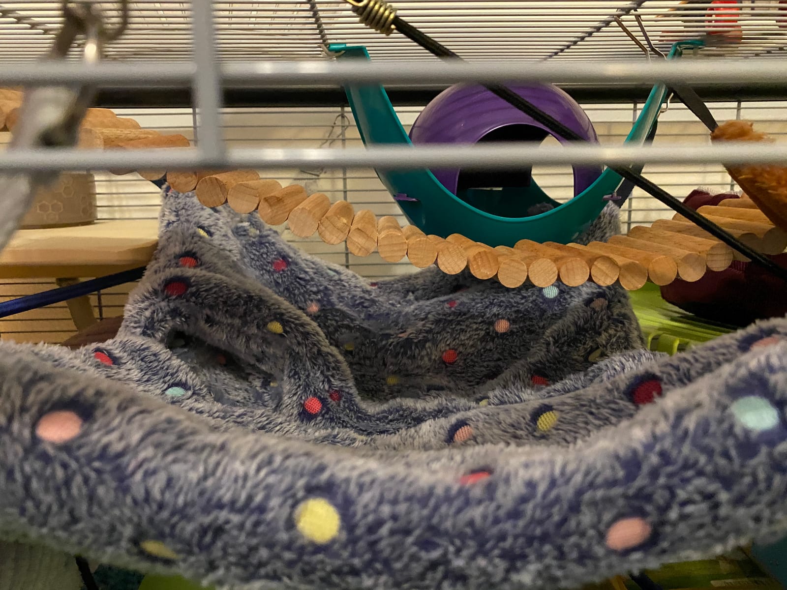 Niteangel Hanging Hammock Nap Sack Swing Bag Pet Sleeper for Ferret Rat Sugar Glider and Other Small Animals (Cream, Star) customer photo 2