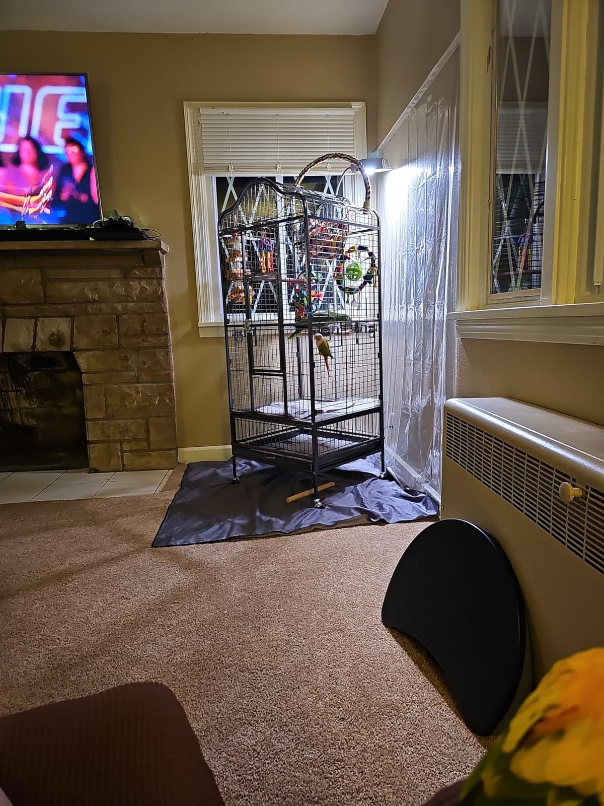 Yaheetech 63'' Bird Cage with Stand Wrought Iron Rolling Open Play Top Large Bird Cage for Mini Macaw African Grey Amazon Parrot customer photo 1