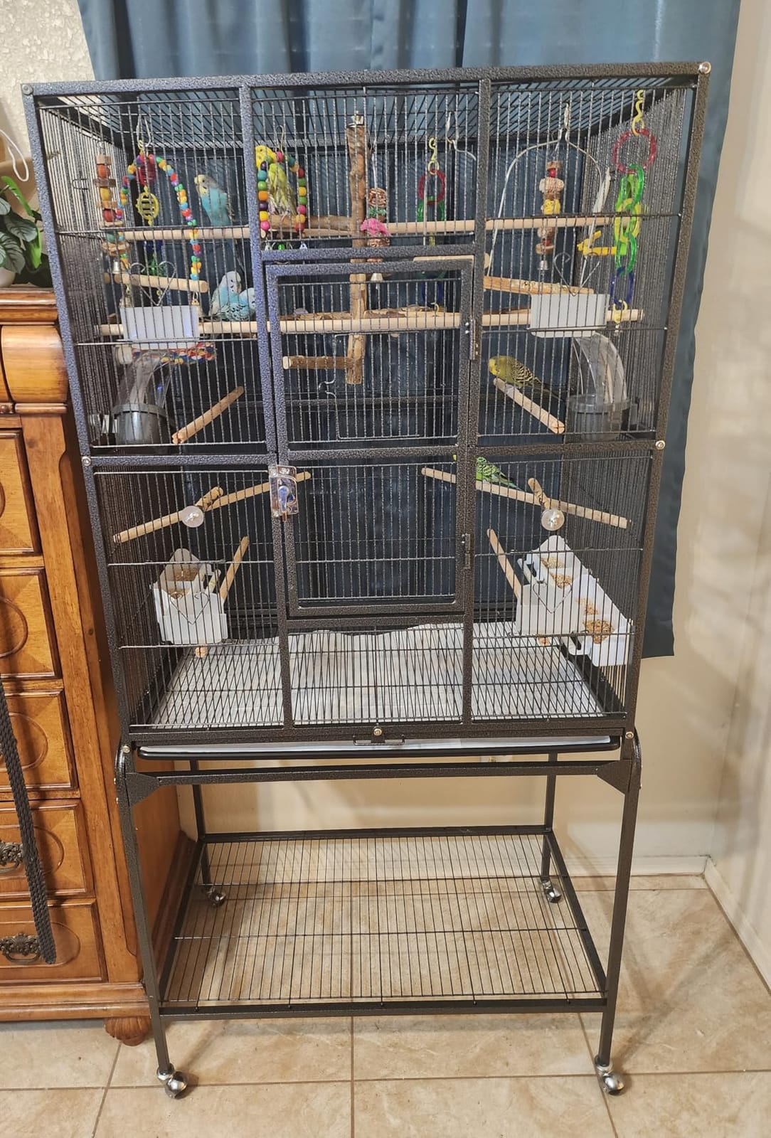 Yaheetech 63-Inch Wrought Iron Rolling Large Bird Cage for African Grey Small Quaker Amazon Parrots Canary Bird Flight Cage customer photo 2