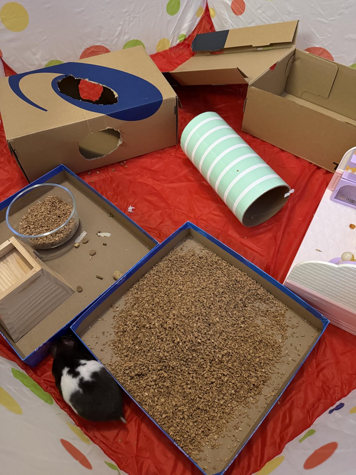 Amakunft Pop-Up Rabbit Playpen for Small Pets - Quick Open & Fold-Flat Hamster Play Pen - Indoor & Outdoor Playpen Bunny Pen with Travel-Friendly for Gunea Pig, Hedgehog, Bearded Dragon customer photo 2