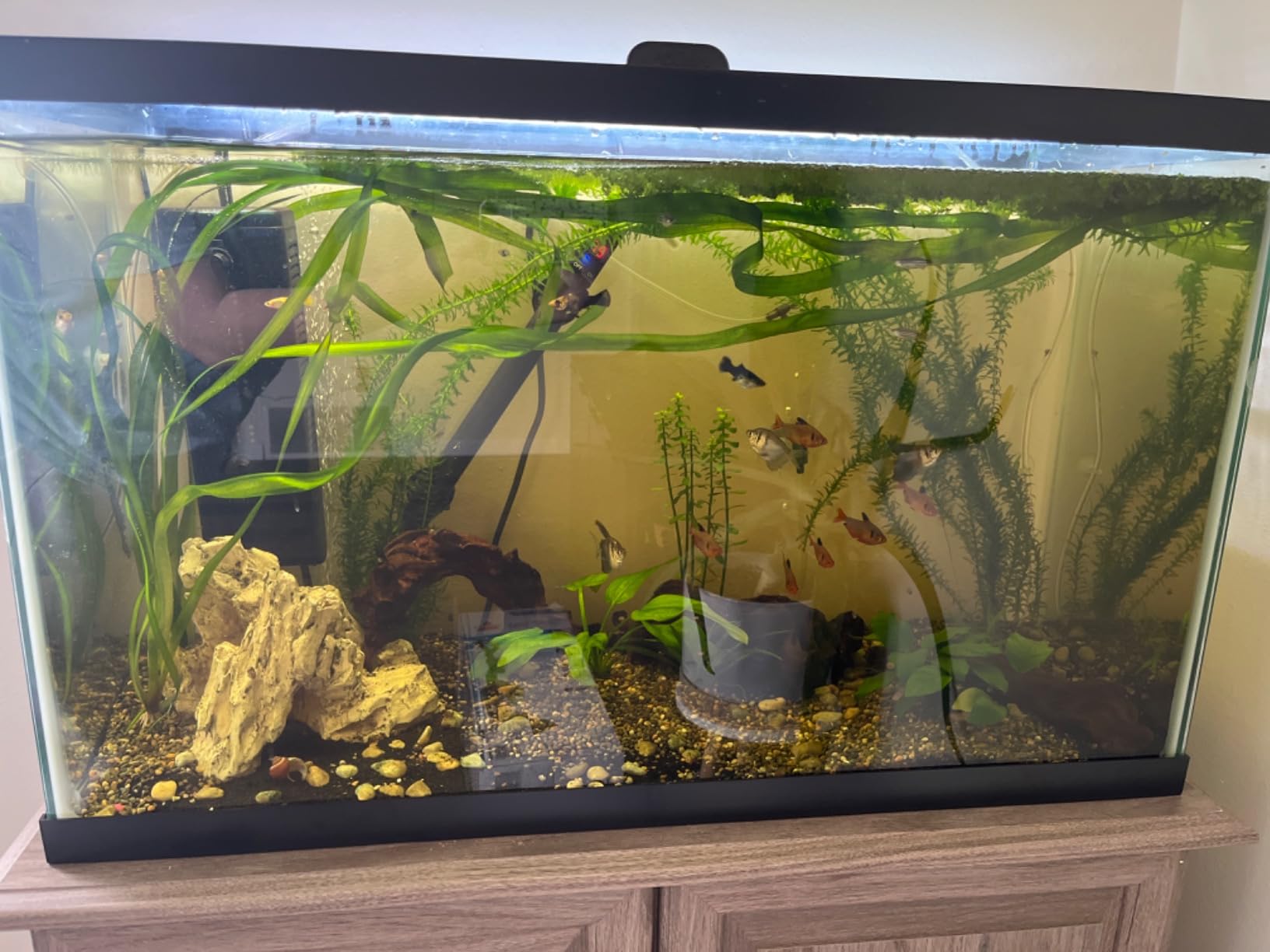 MQ Titanium Alloy 200W Aquarium Heater for Salt and Fresh Water, Digital LED Display Submersible Heater with External Thermostat Controller, for Fish Tank 25-40Gallon customer photo 1