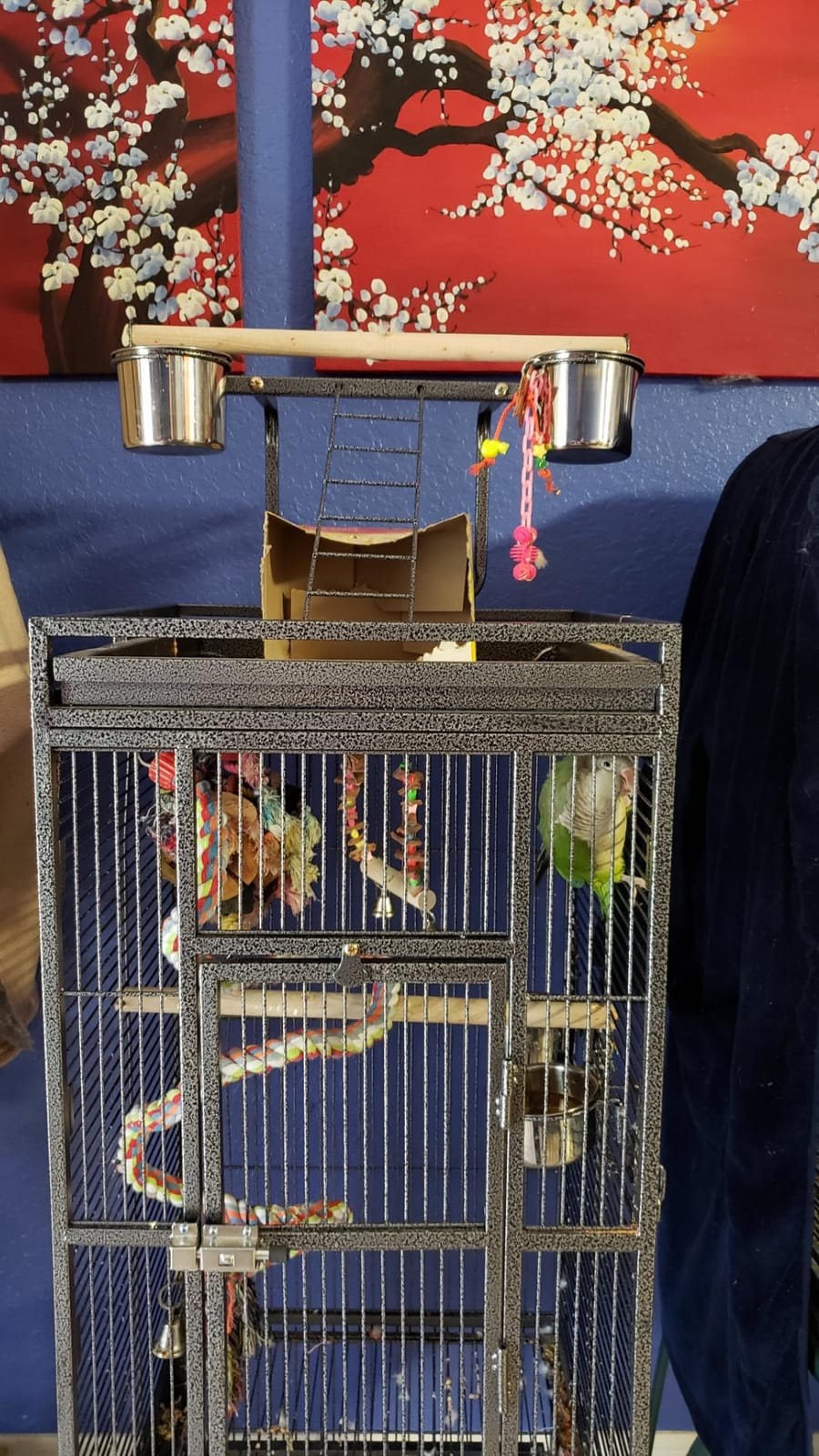 SUPER DEAL 68-inch Large Bird Cage with Rolling Stand African Grey Parrot Chinchilla Finch Cage Conure Cockatiel Cockatoo Pet House Wrought Iron Birdcage, Black customer photo 1