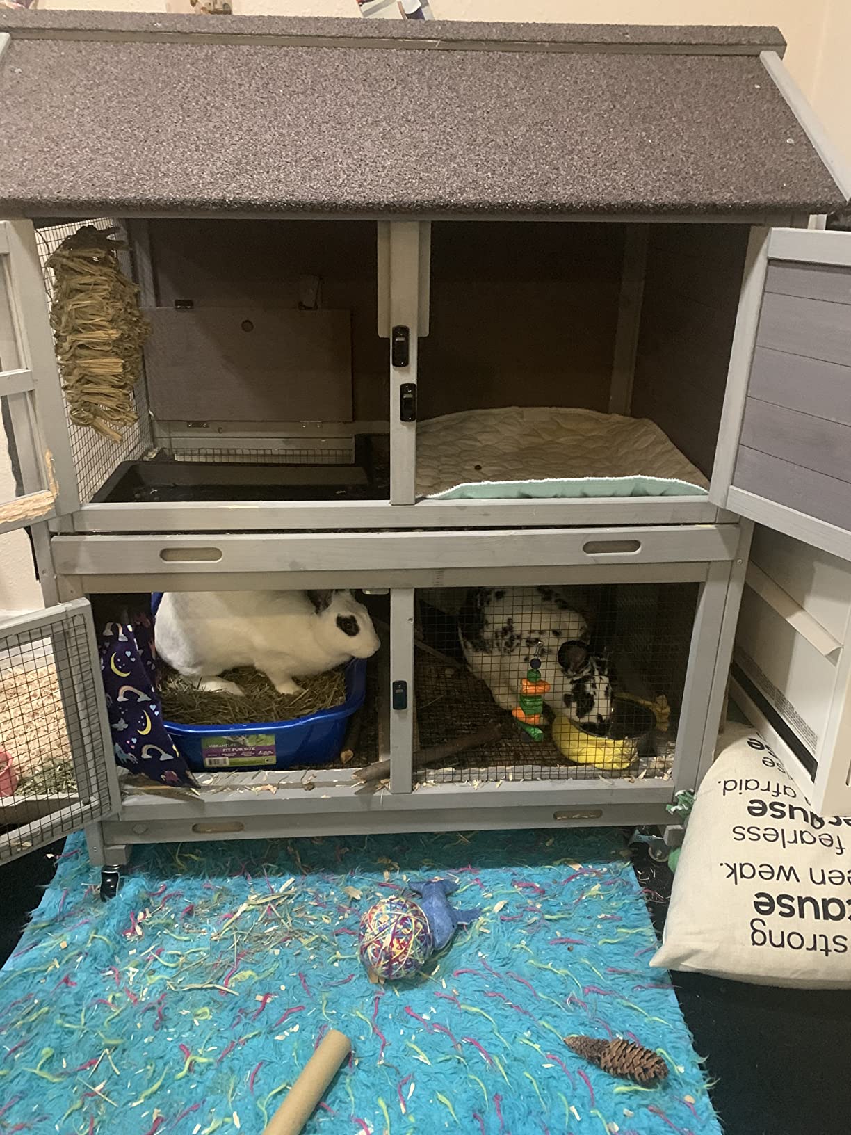 Aivituvin [Upgrade Version] Rabbit Hutch Bunny Hutch, Rabbit Cage with Two No Leak Trays, Indoor & Outdoor Waterproof Cage for Bunny, Upgraded Bottom Wire Netting, Grey, Large, Camel customer photo 1