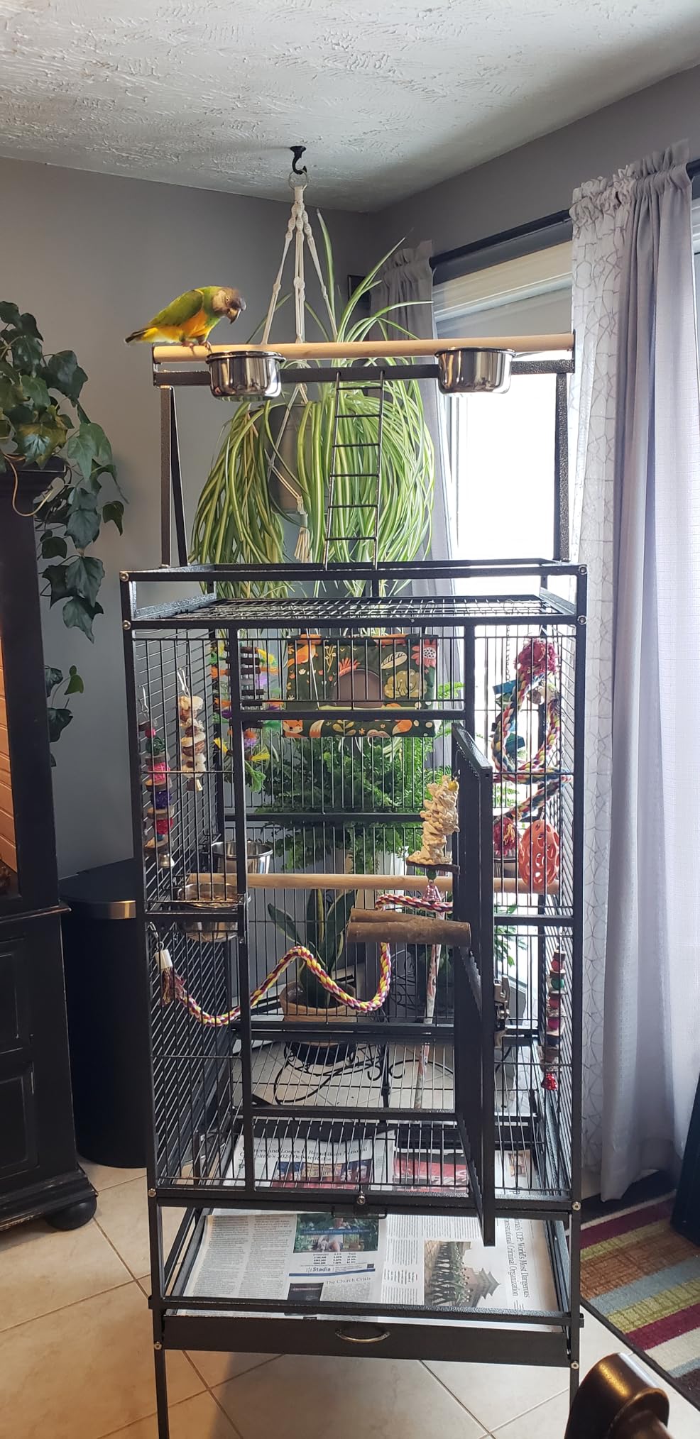 Yaheetech 68-inch Rolling Play Top Large Parrot Bird Cage for African Grey Cockatiel Conure Lovebird Parakeet Budgie customer photo 1