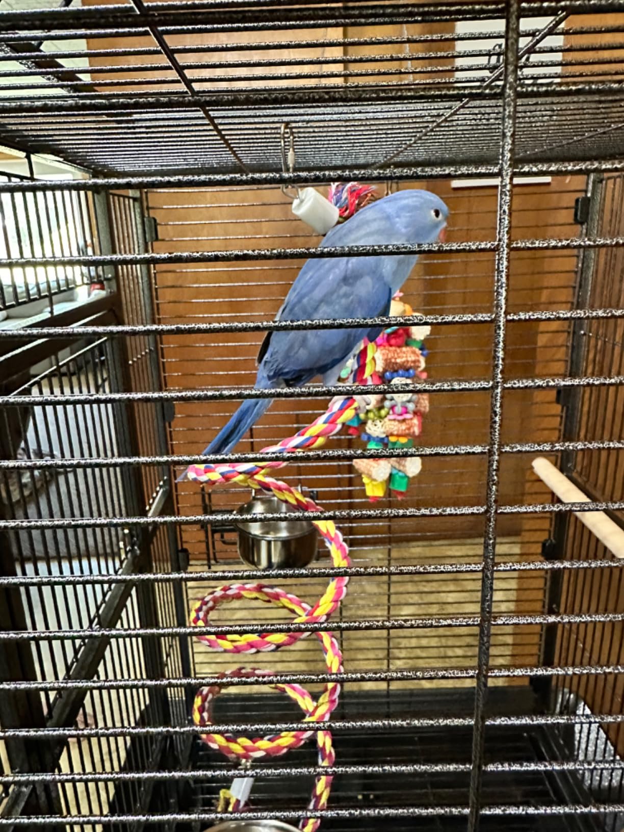 Yaheetech 68-inch Rolling Play Top Large Parrot Bird Cage for African Grey Cockatiel Conure Lovebird Parakeet Budgie customer photo 2