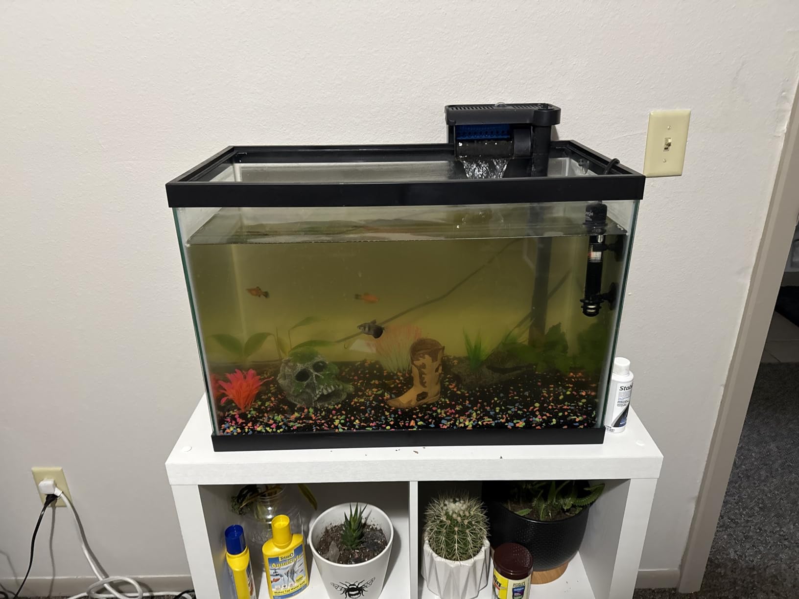 Hygger Aquarium Double Sponge Filter, Comes with 2 Spare Sponges, 1 Bag of Bio Ceramic Media Balls, Quiet Submersible Foam Filter for Fresh Water and Salt-Water Fish Tank (S) customer photo 2