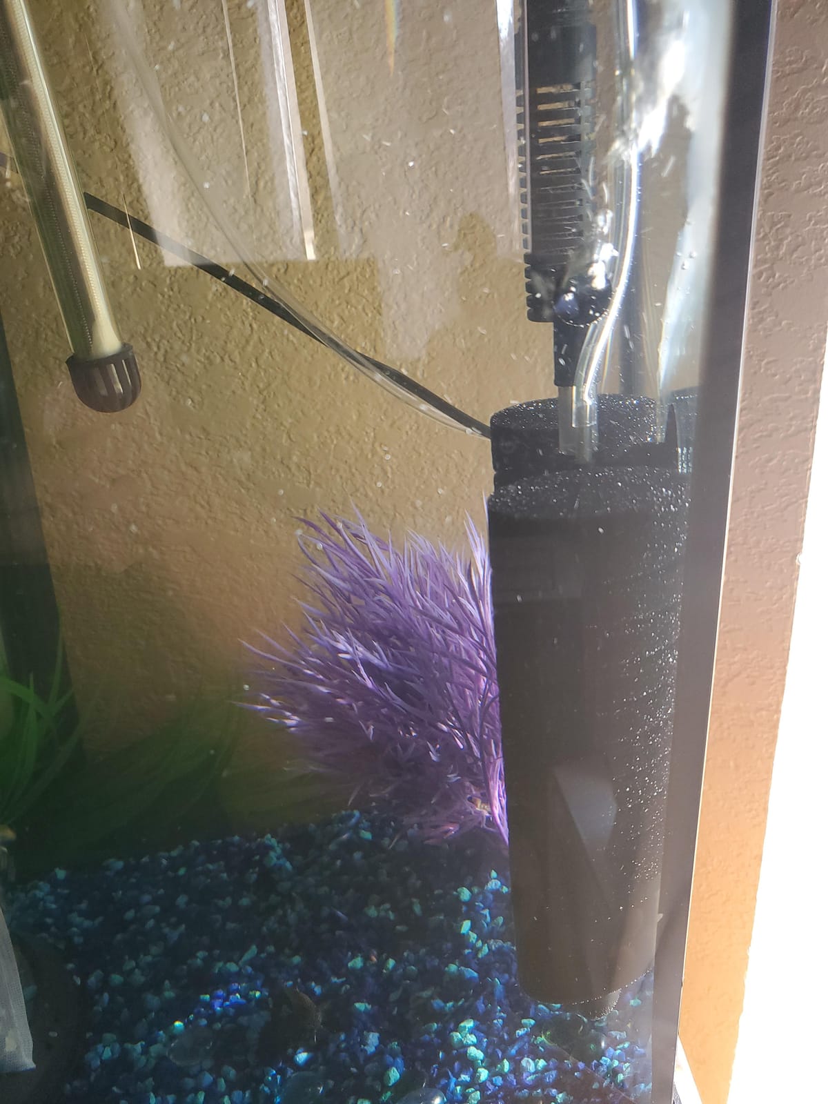 hygger Aquarium Double Sponge Filter for Fresh Water and Salt-Water Fish Tank (M) customer photo 1