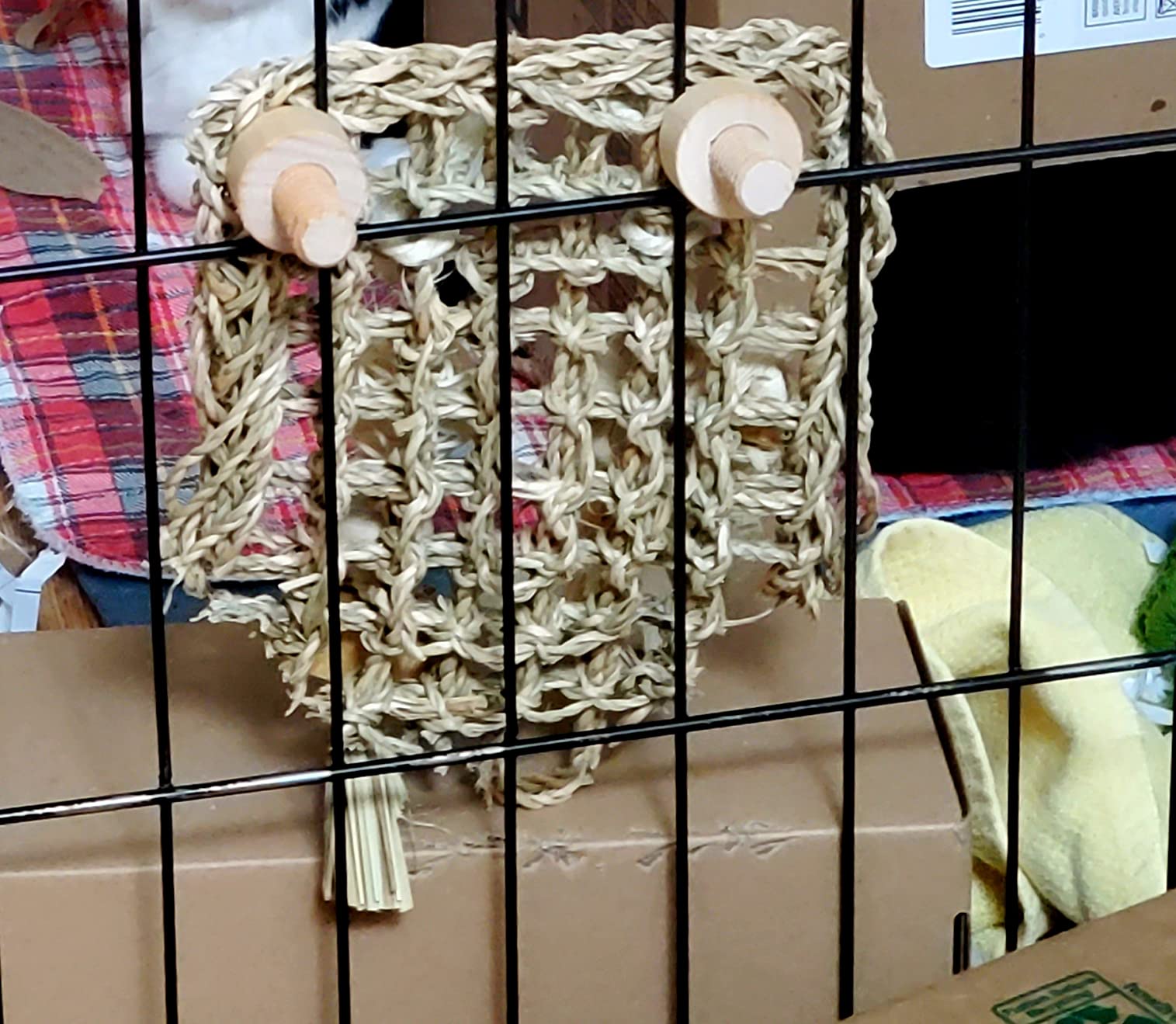 Oxbow Play Wall, Rabbit & Guinea Pig Toys, Guinea Pig Accessories, Small | Woven Play Wall For Rabbits, Guinea Pigs, Hamsters, Chinchillas & Rats, Bunny Enrichment Toys, Guinea Pig Enrichment customer photo 1