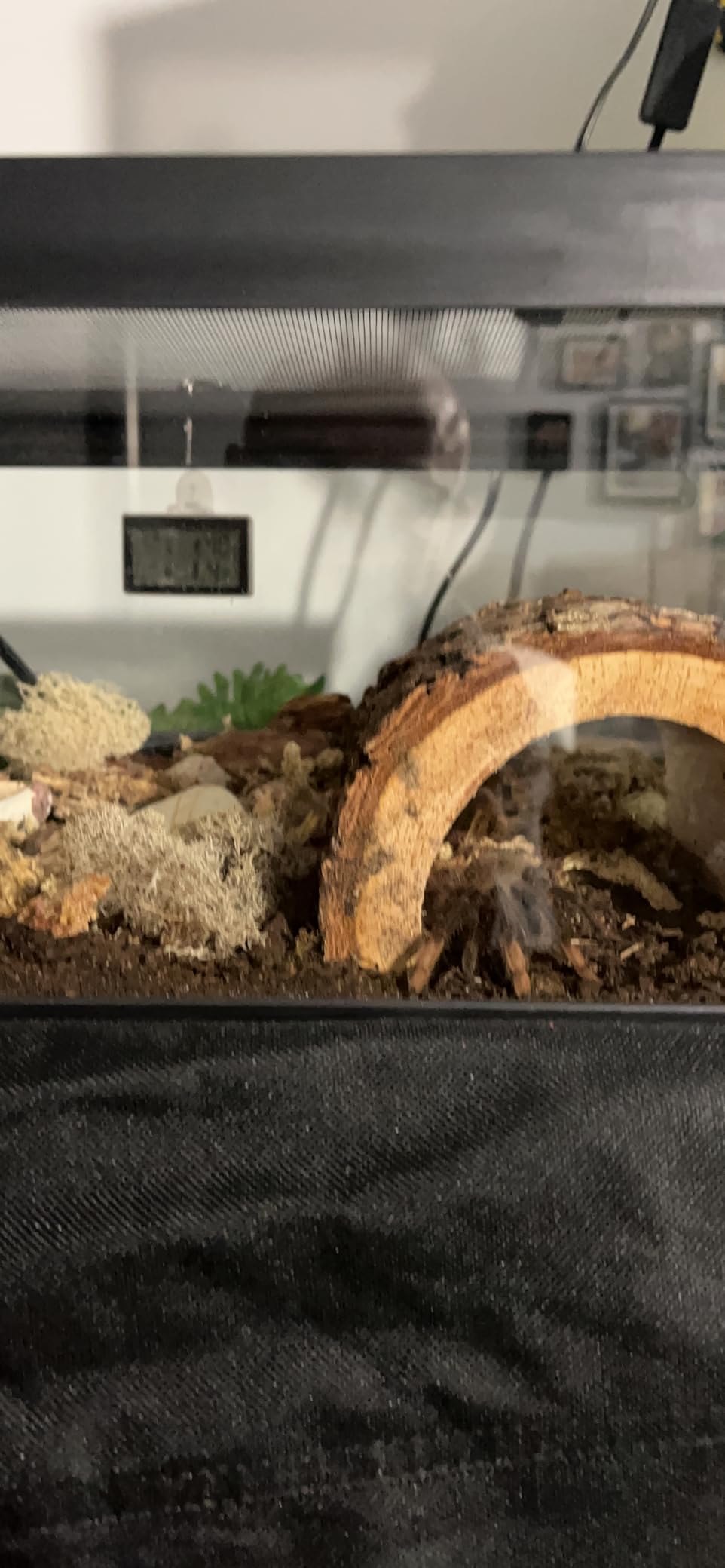 Digital Reptile Thermometer for Tank, Temperature and Humidity Monitor with Probe, Terrarium Thermometer Hygrometer for Gecko, Crested Gecko, Snake, Bearded Dragon Tank Accessories customer photo 1