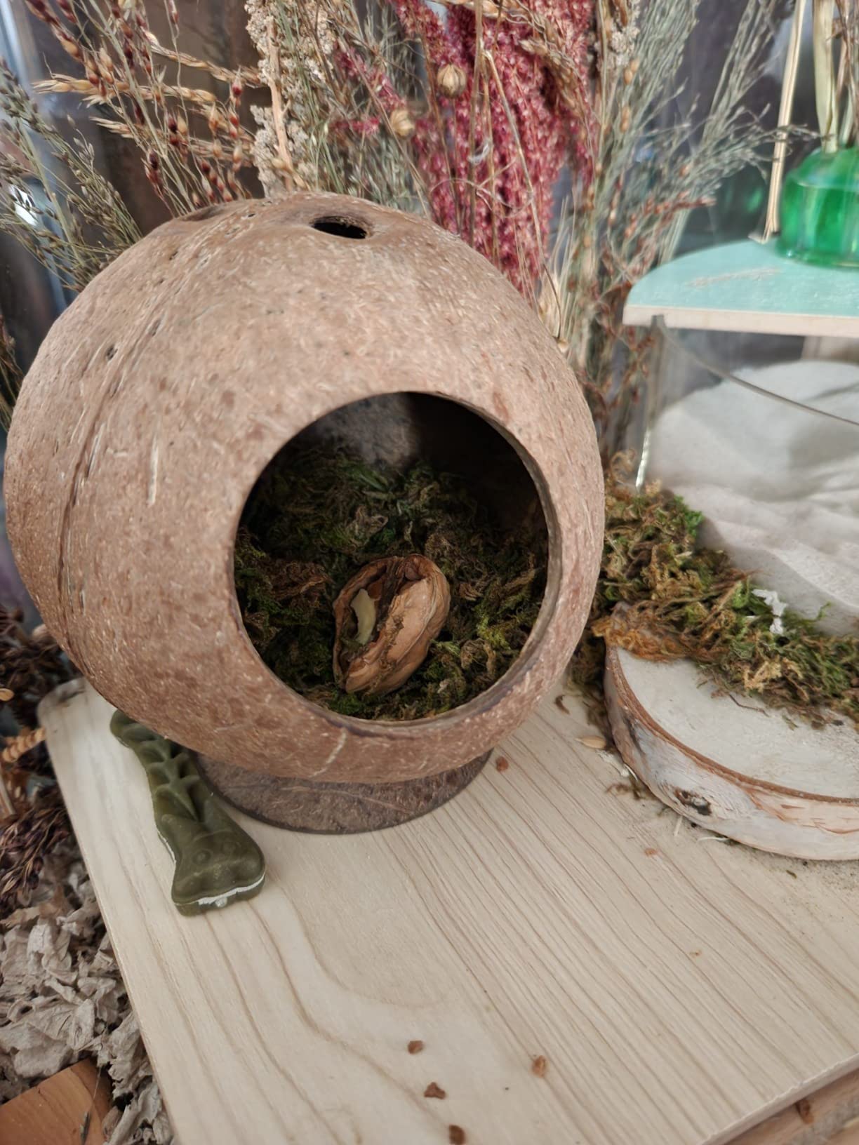 andwe Coconut Hut Hamster House Bed Natural Gerbils Hideout | Unique Habitat Decor for Gerbils Mice Small Animal Cage customer photo 2