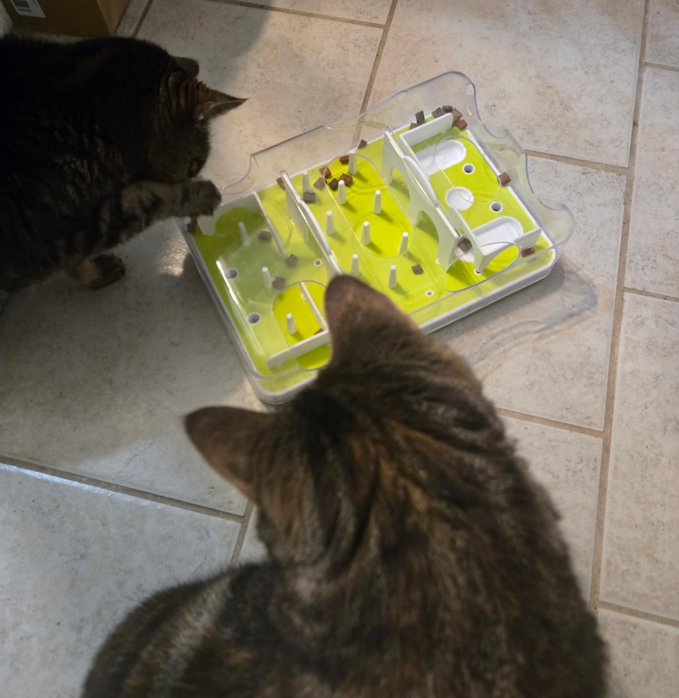 ALL FOR PAWS Interactive Cat Puzzle Feeder & Slow Feed Toy – Mental Stimulation Treat Dispenser Maze for Indoor Cats, Enrichment & Cat Food Toy customer photo 1