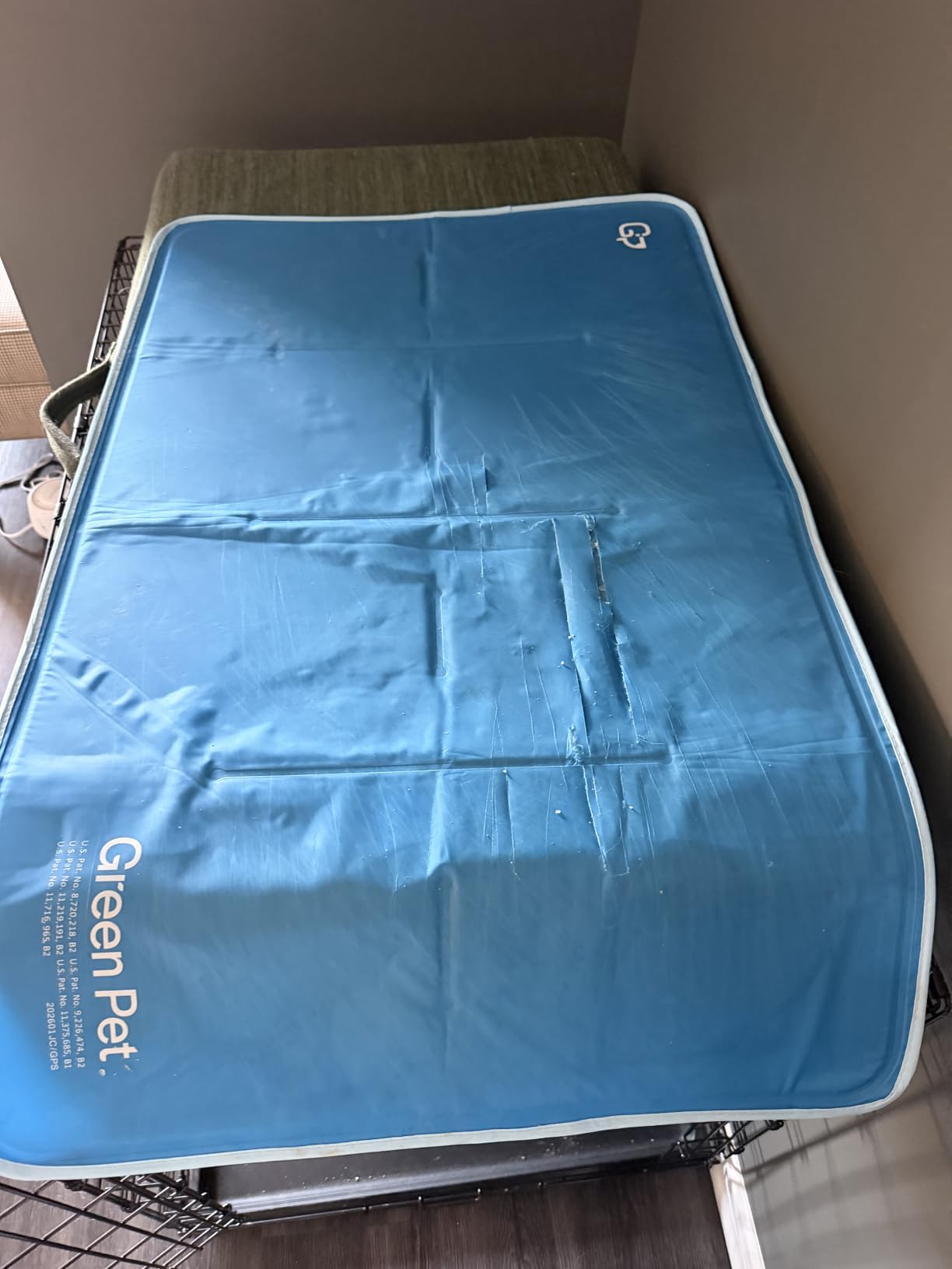 The Green Pet Shop Cool Pet Pad - Medium, Blue - Self-Cooling, Pressure Activated Mat for Dogs & Cats from 21-45 lbs - Non-Toxic Gel, No Water Needed customer photo 1