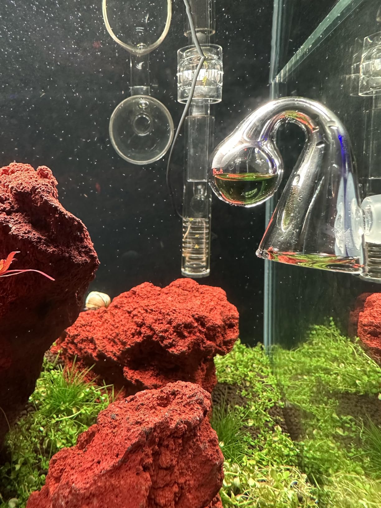 FZONE Aquatic CO2 Glass Drop Checker PH Monitor for Aquarium Plant Fish Tank Test CO2 Kit customer photo 1