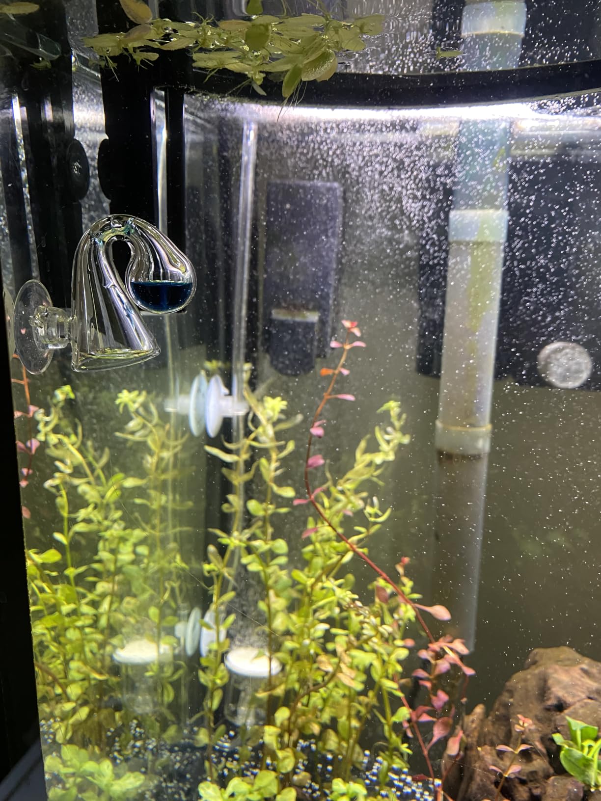 FZONE Aquatic CO2 Glass Drop Checker PH Monitor for Aquarium Plant Fish Tank Test CO2 Kit customer photo 2