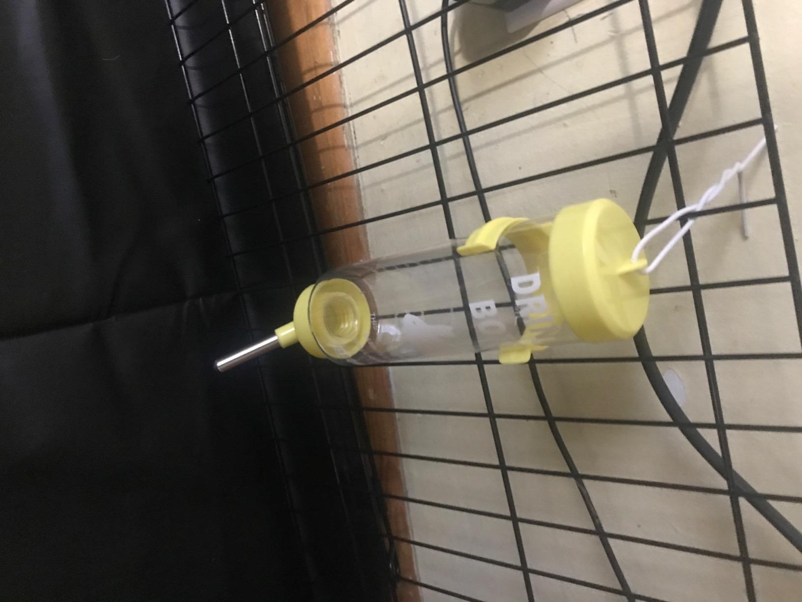Depets 2PCS 8.45 oz No Drip Small Animal Water Bottle, Cage Water Bottles | Plastic, for Small Pet/Guinea Pig/Hamster/Bunny/Ferret/Rabbit, Hanging Wire & Buckle Included, Easy to Install, Yellow & Blue customer photo 1